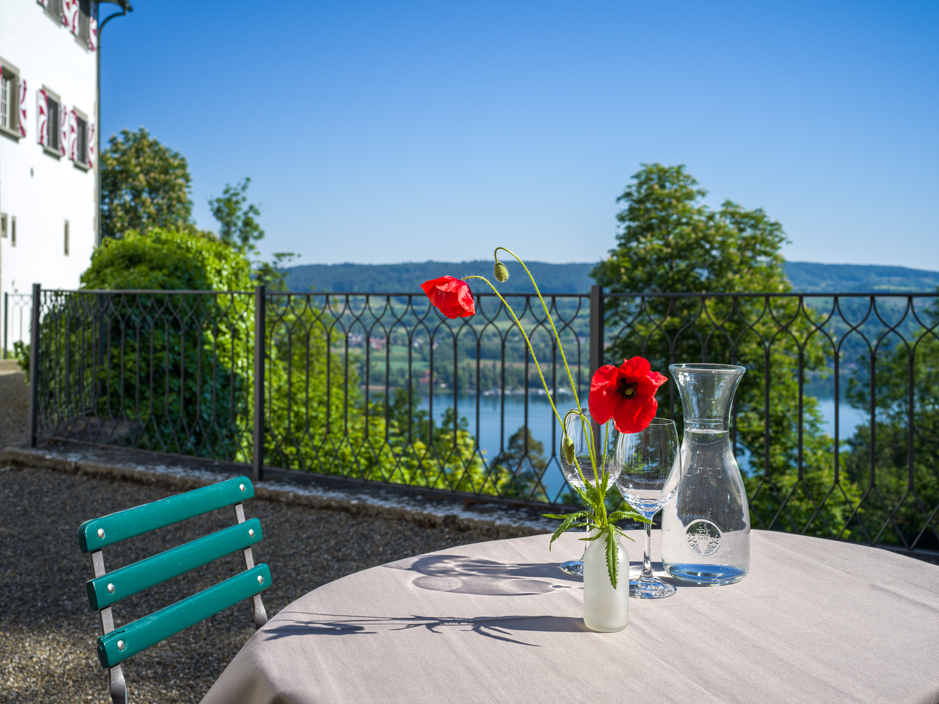 Aussicht auf den Bodensee Aussicht auf den Bodensee