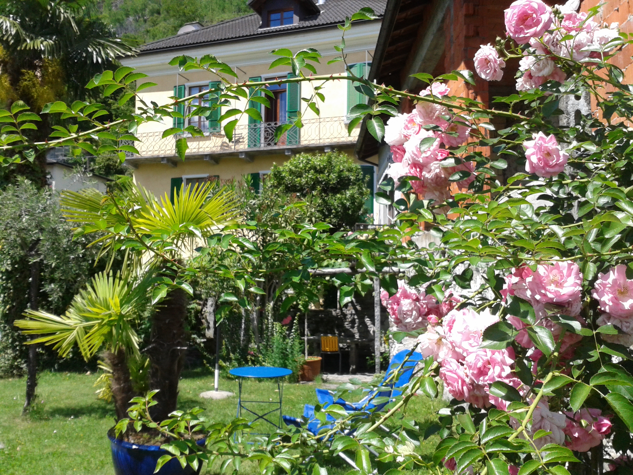 garten garten