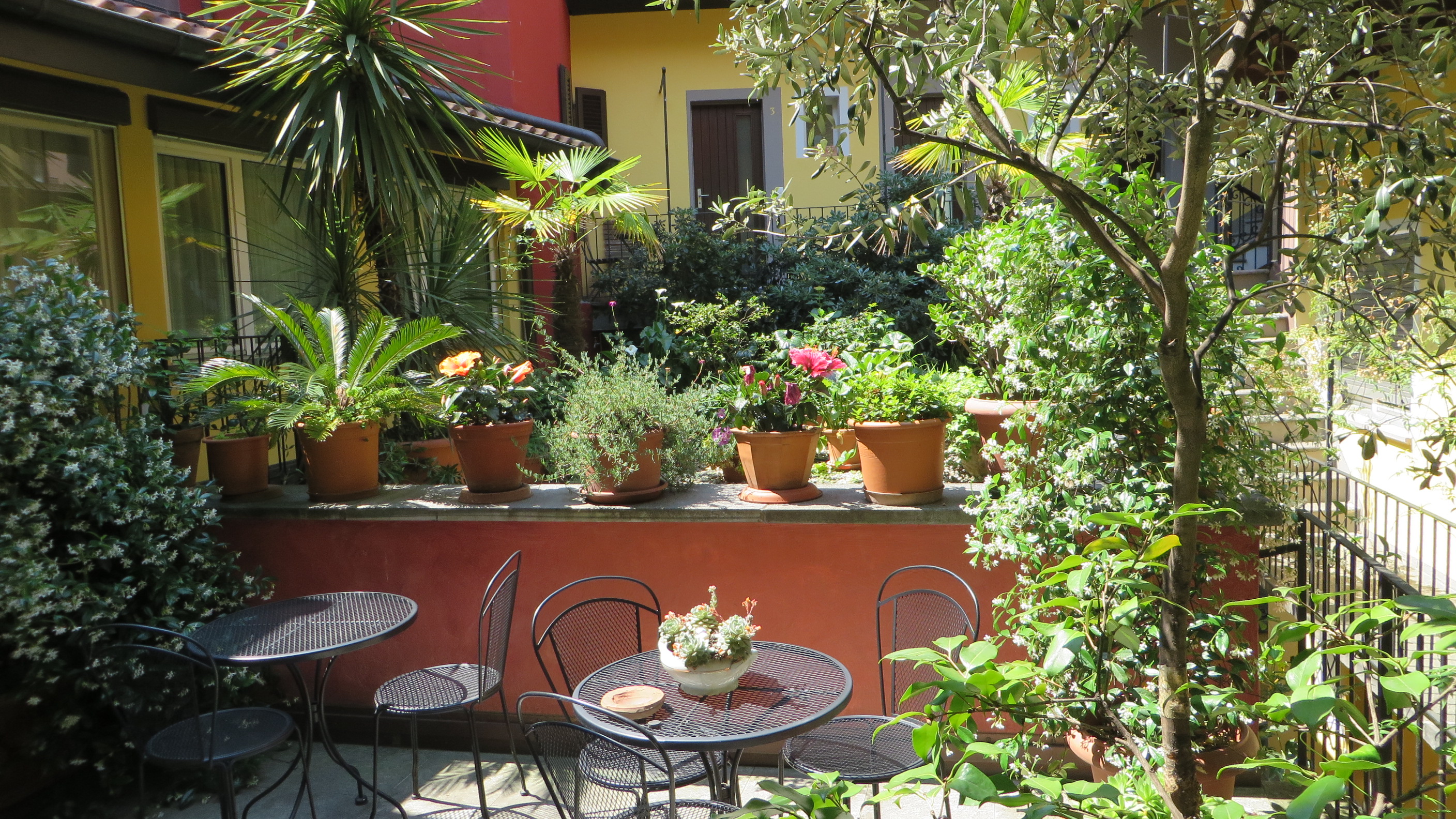 garden court yard garden court yard