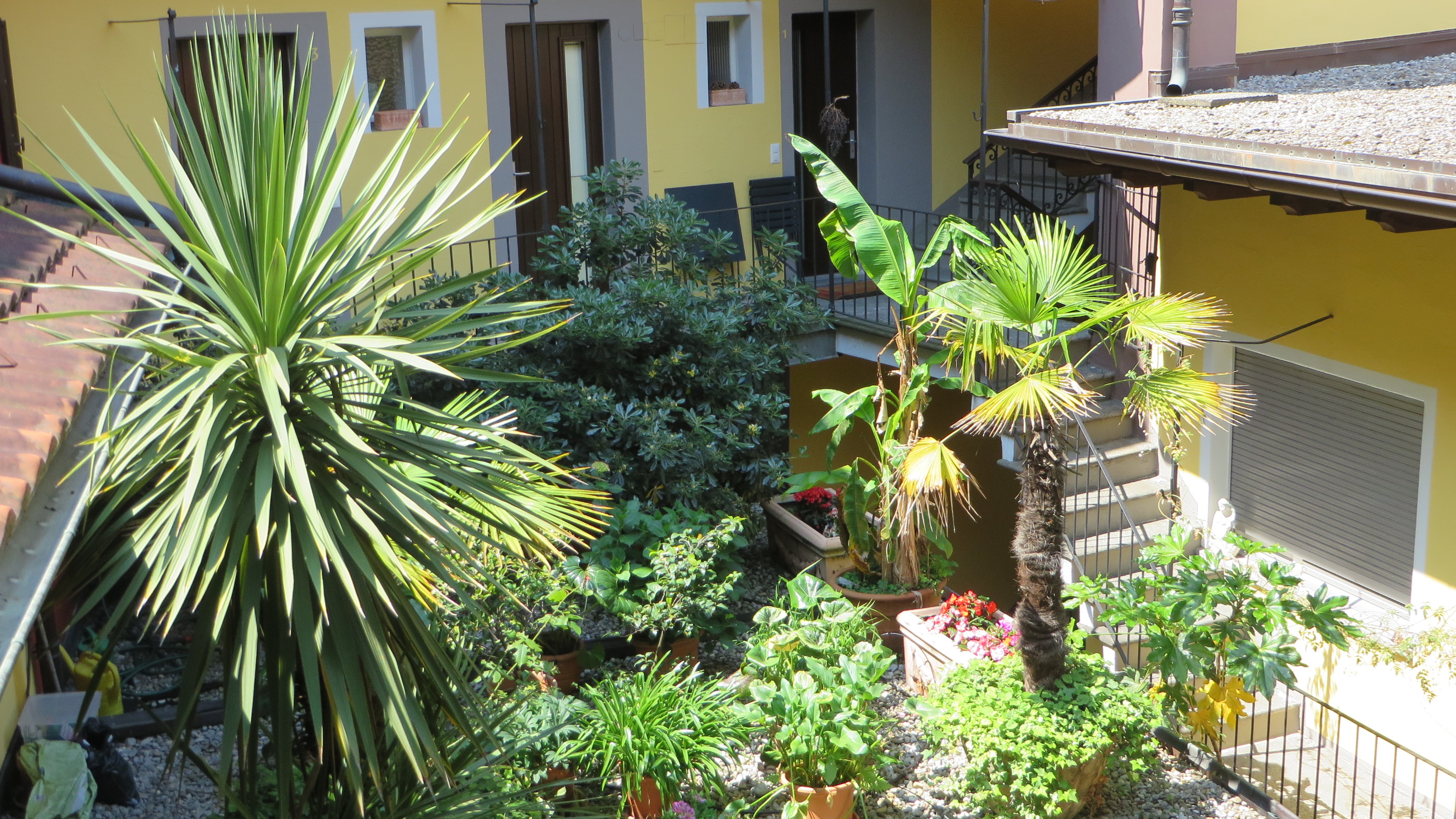 Court yard Court yard