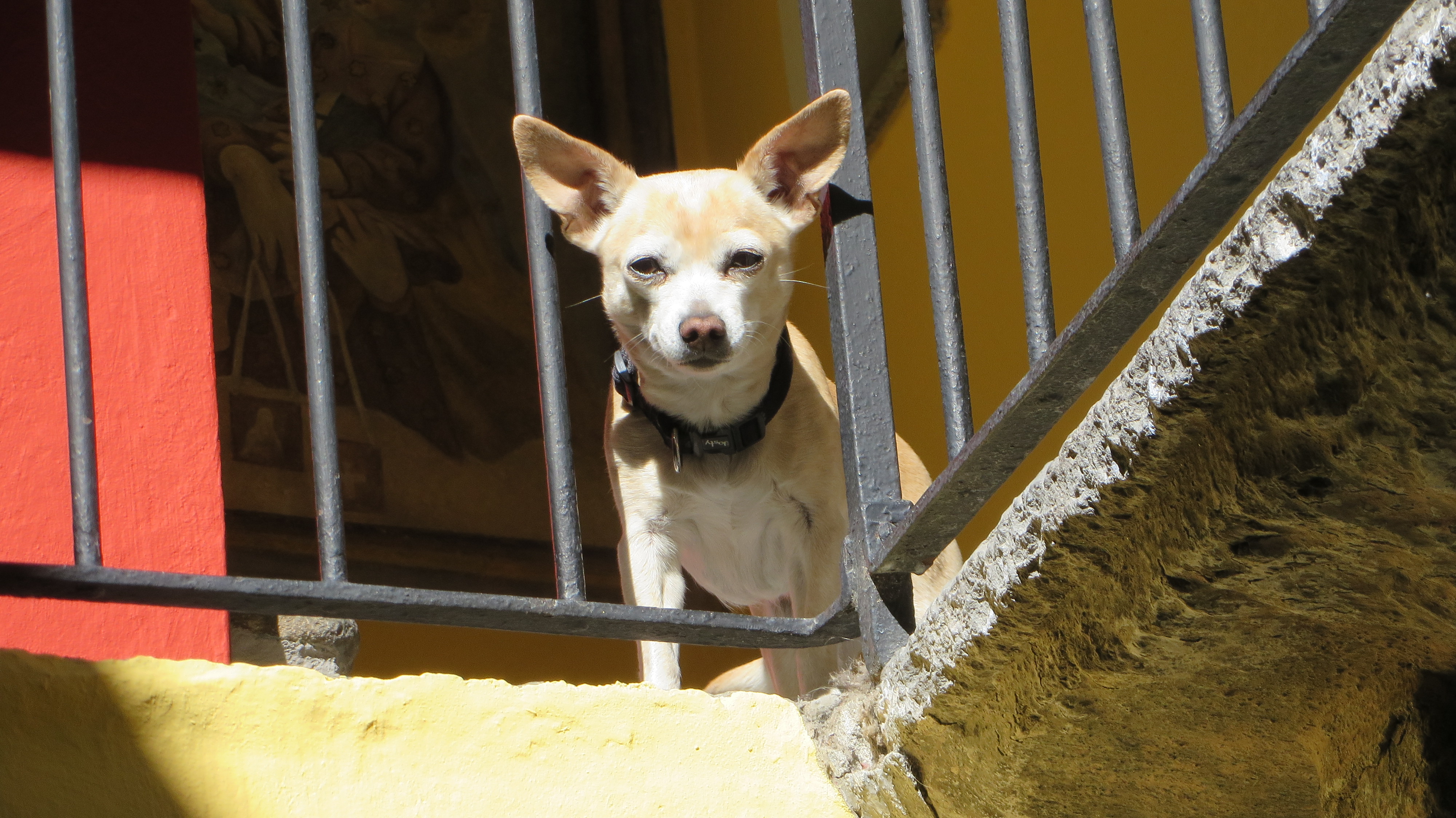 Court yard Court yard