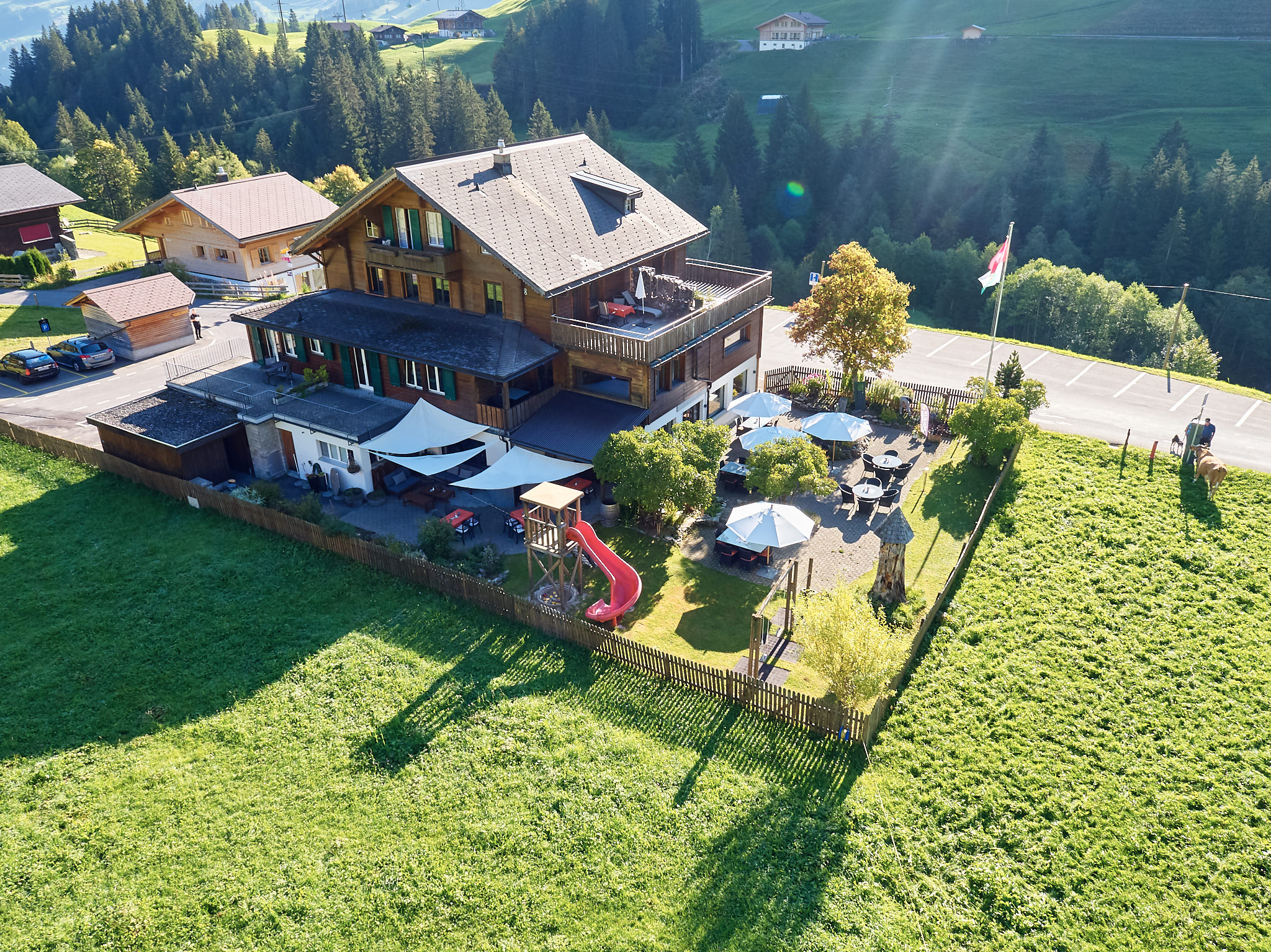 Hotel des Alpes – immagine