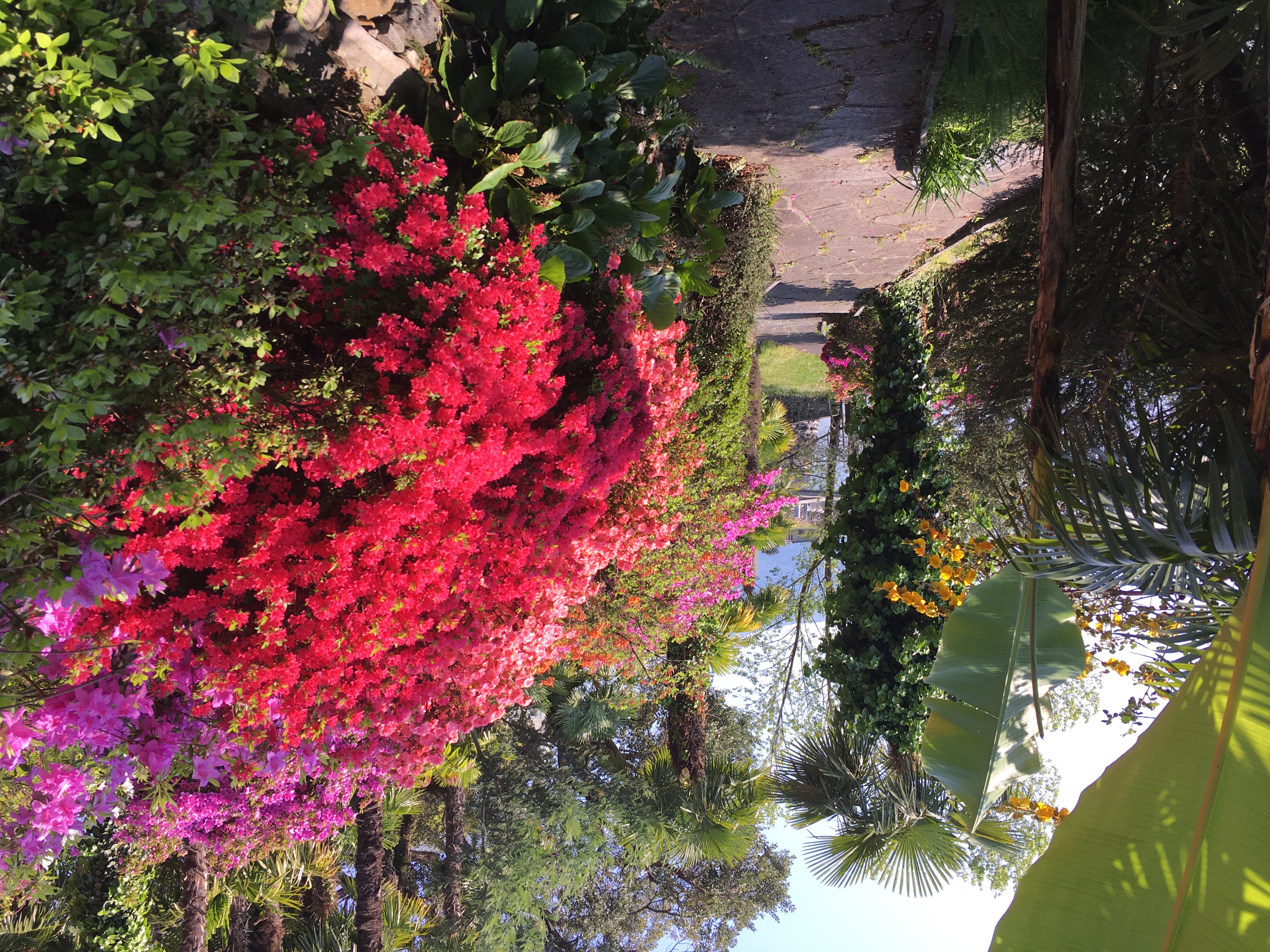 Garten im Frühjahr Garten im Frühjahr