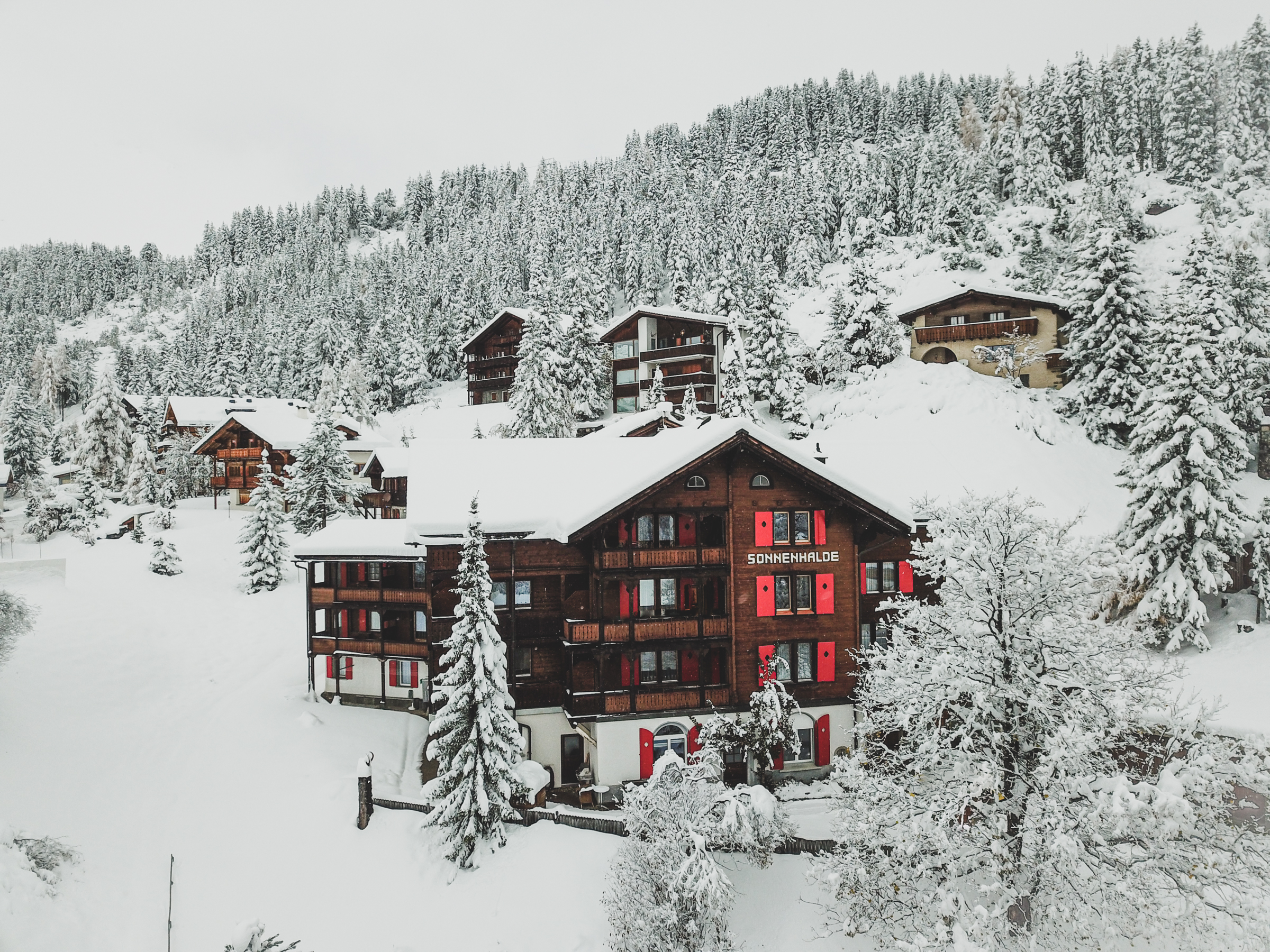 Hotel Sonnenhalde Garni – image