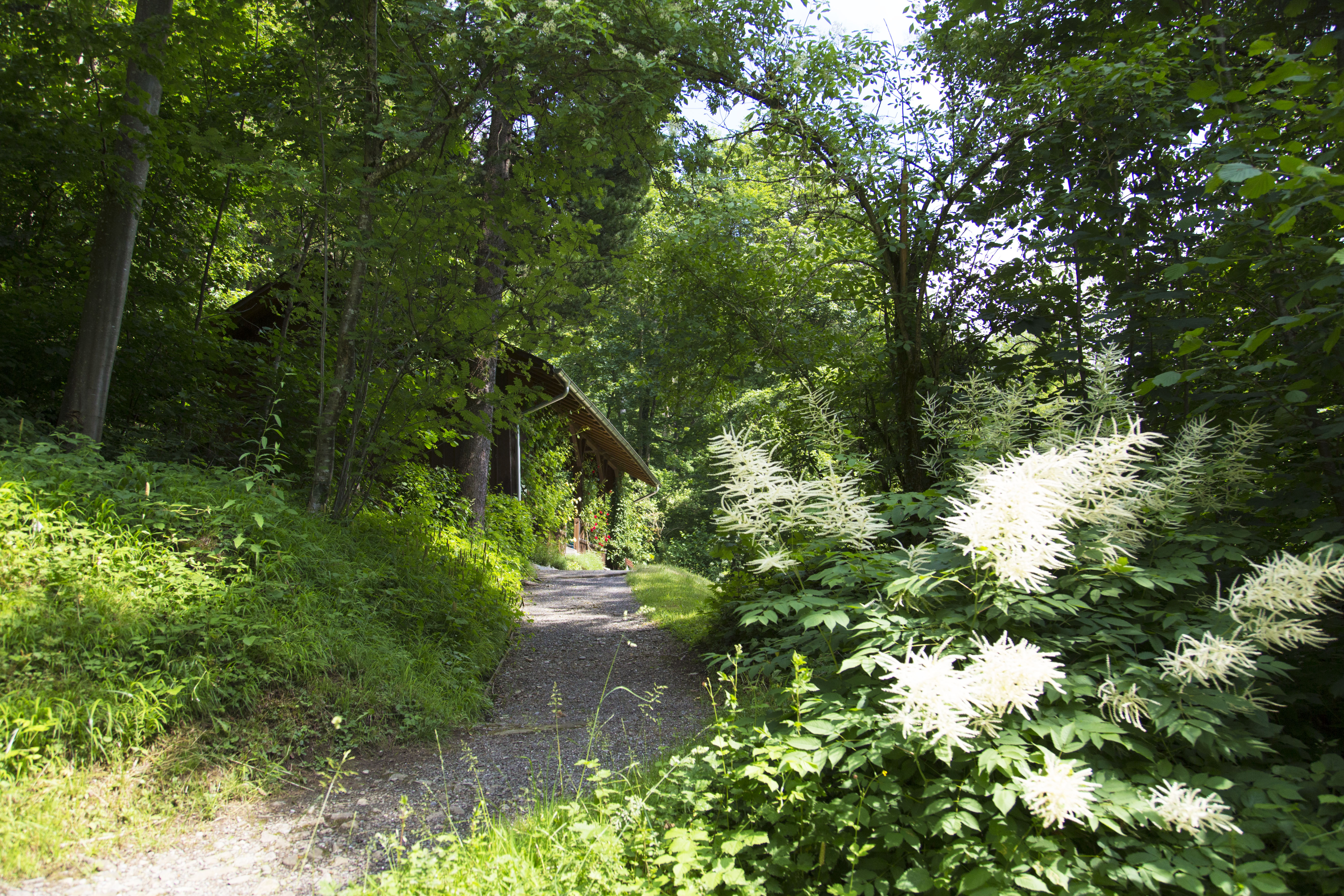 Hotel und Seminarhaus Ländli – image
