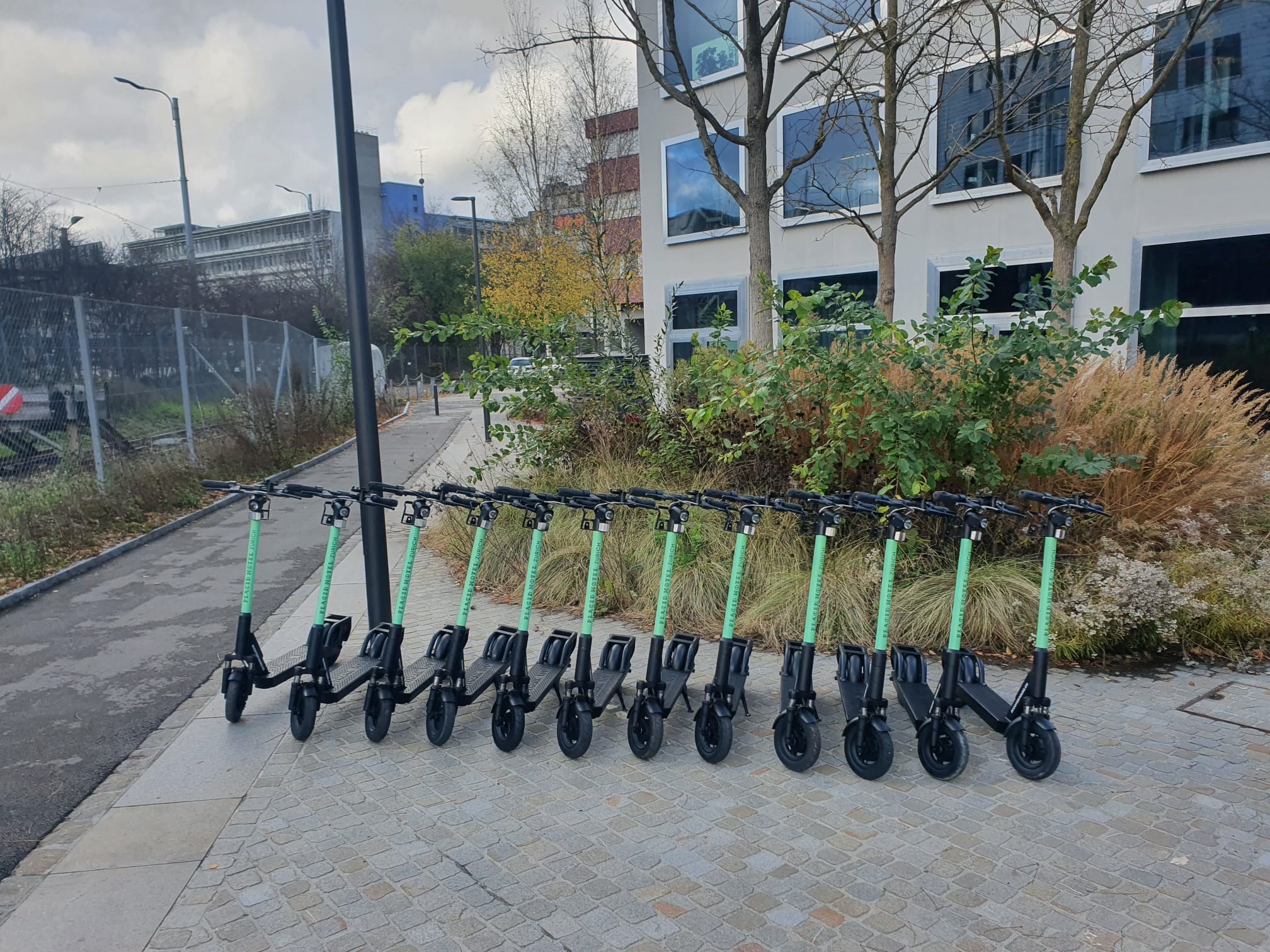 Elektro Scooter Elektro Scooter