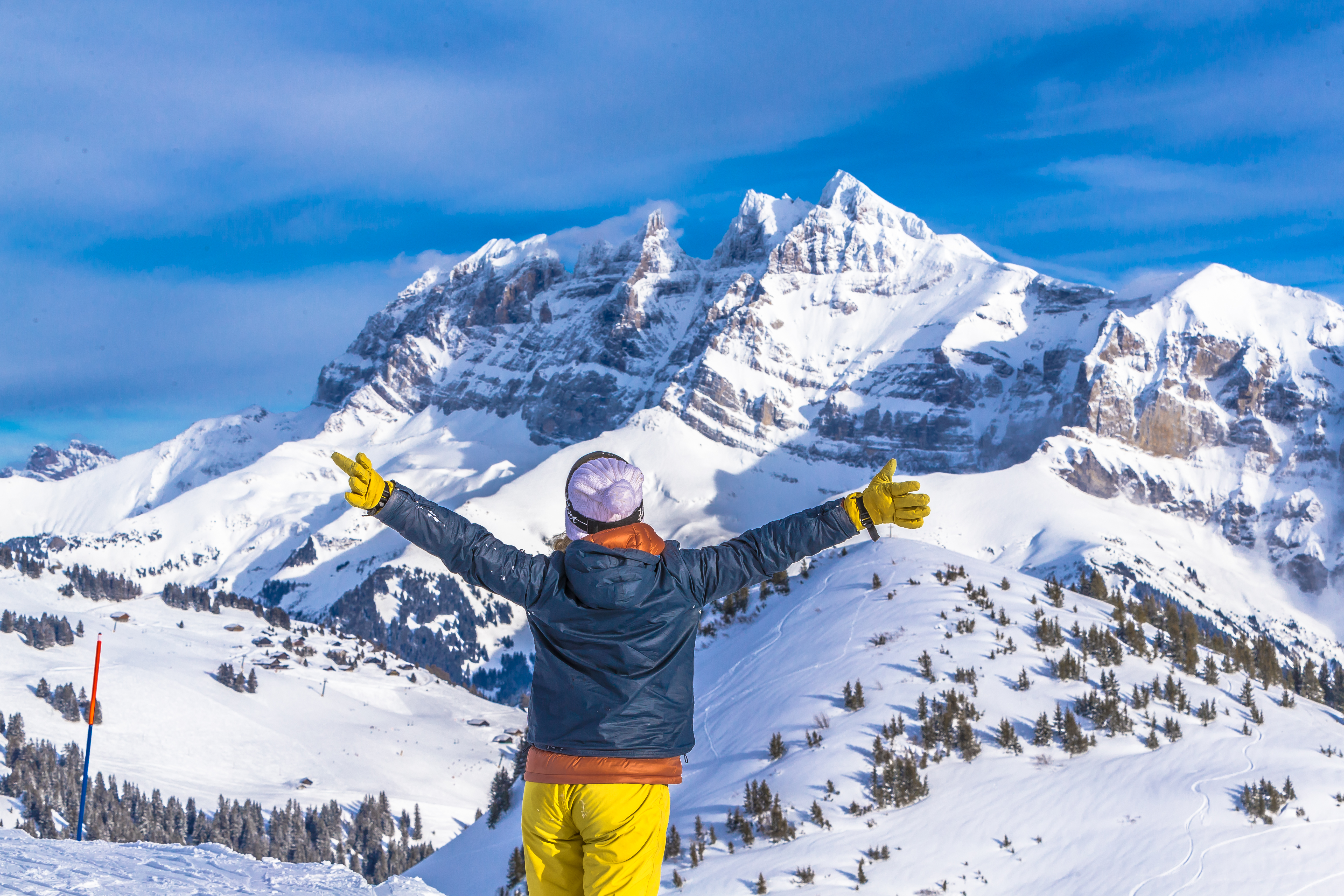 Ski Resort Ski Resort