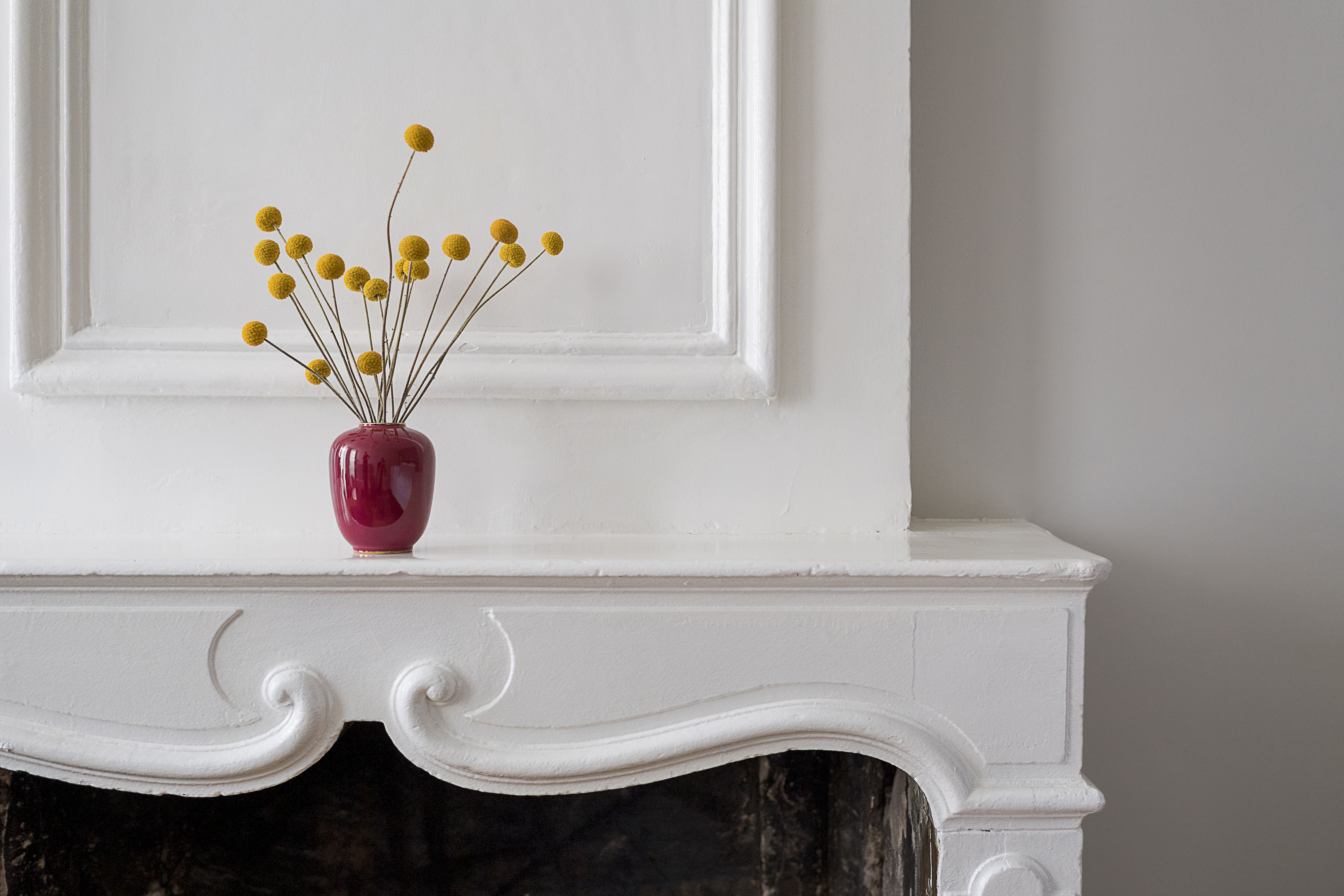 Cosy Suite Cosy Suite