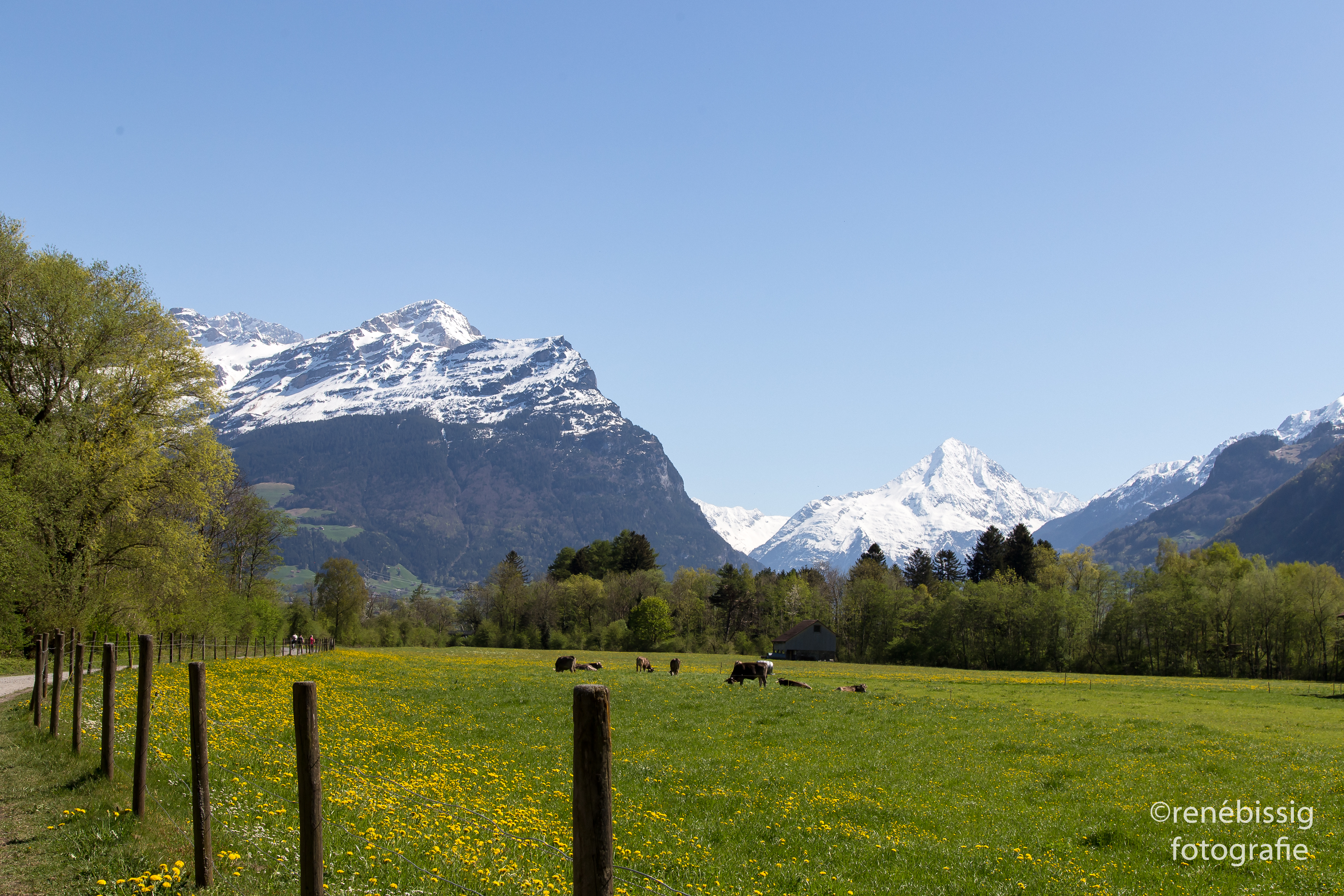 Hotel Zum schwarzen Löwen – image
