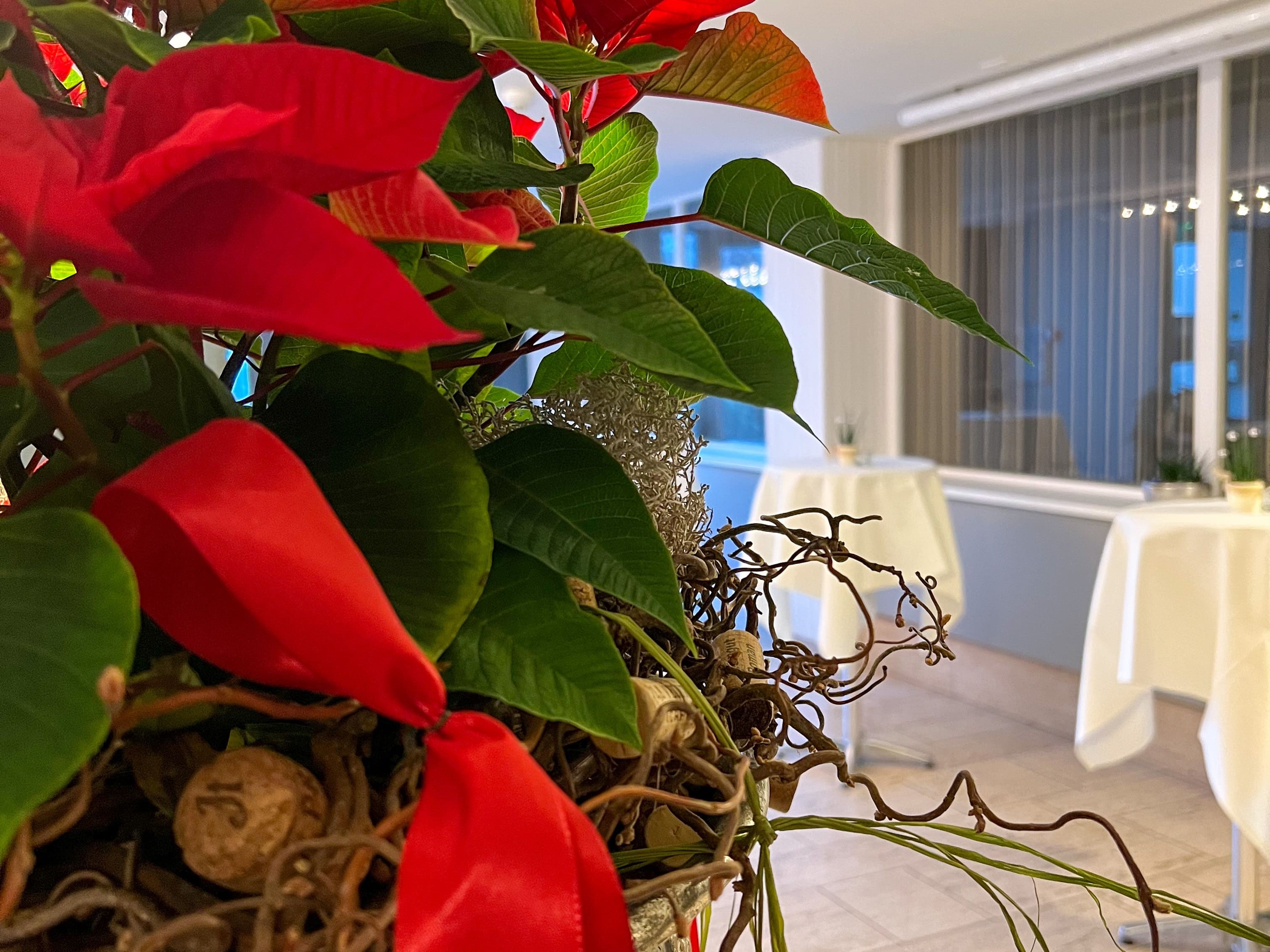 Hotel Hecht – image