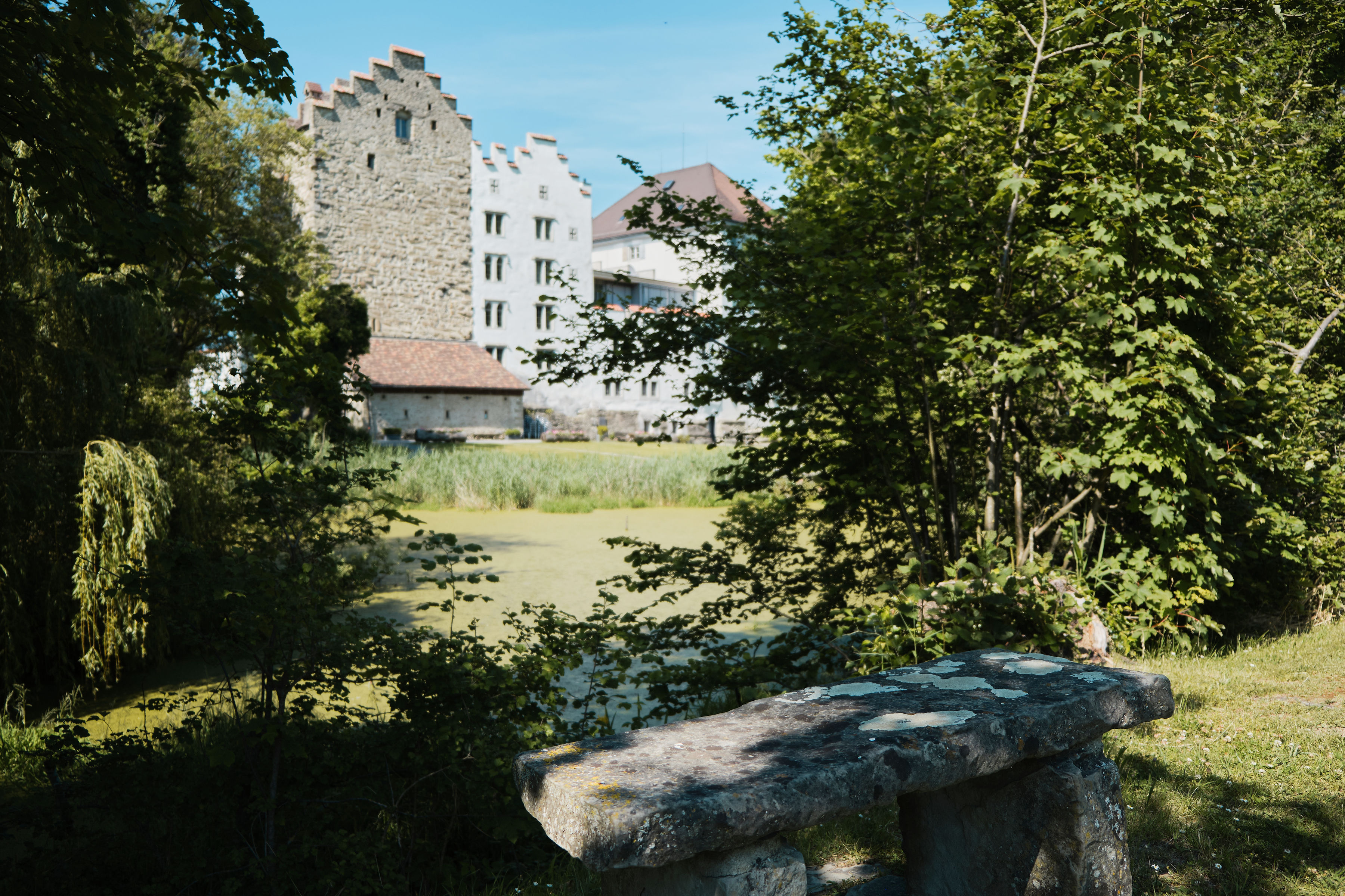 Kleiner See Kleiner See