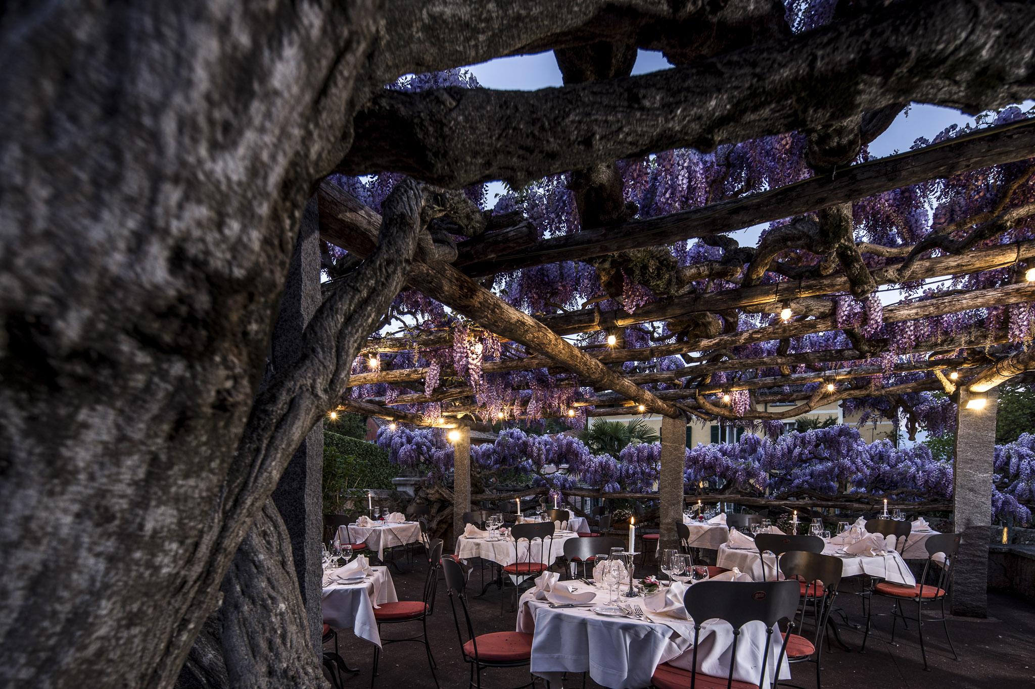 Ristorante La Sosta Ristorante La Sosta