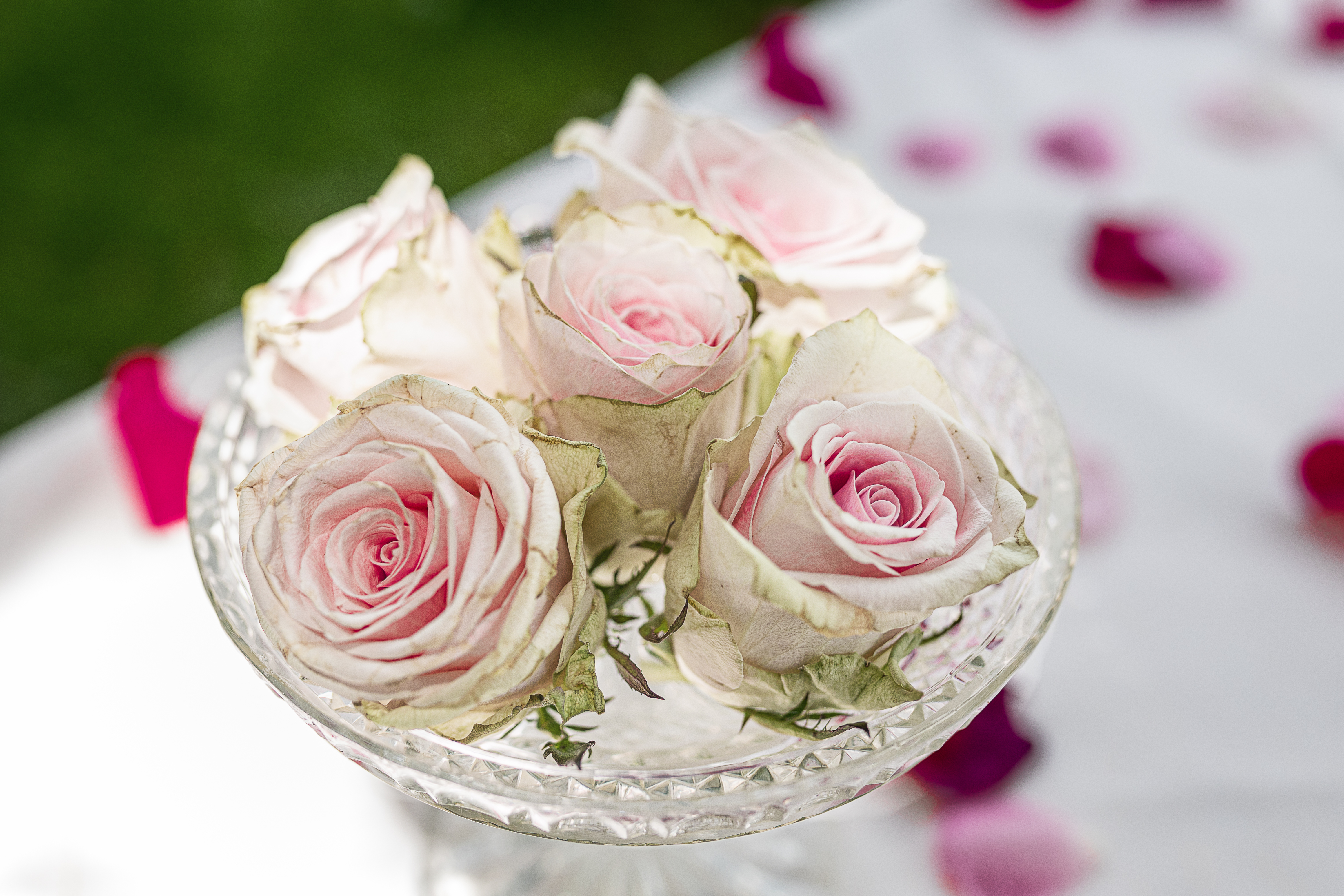 Ristorante La Sosta Ristorante La Sosta