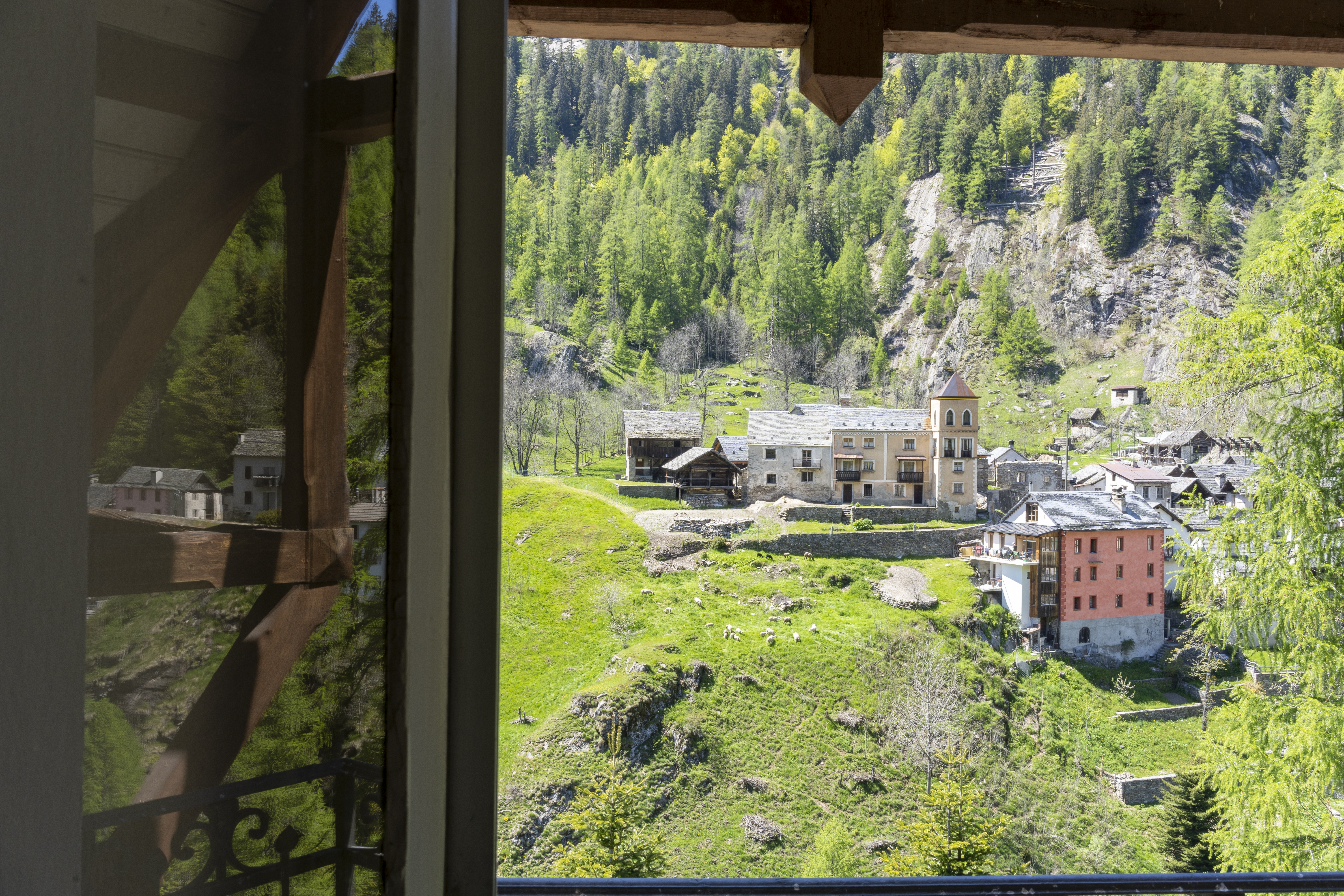 Villa Pineta – Bild