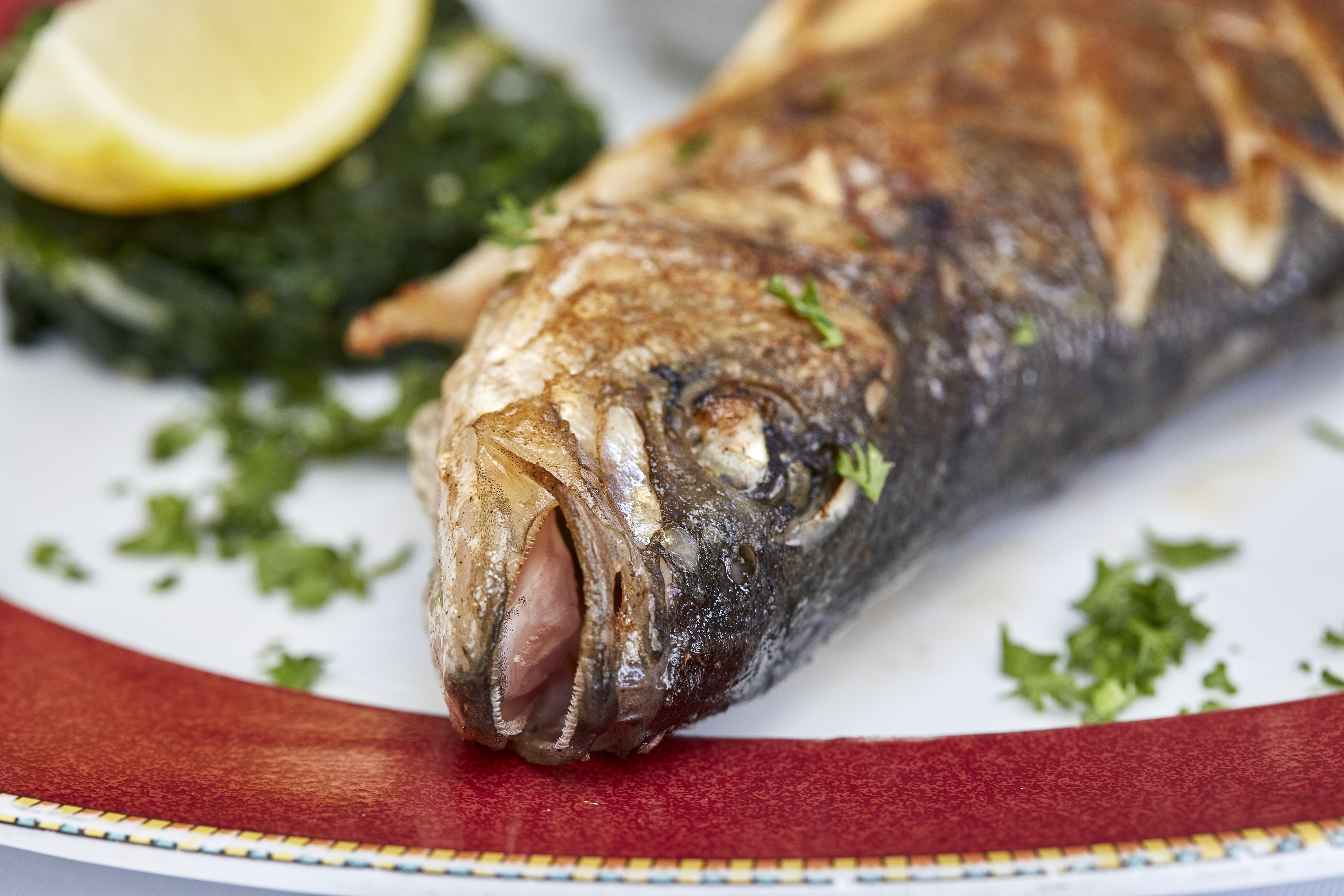 Parkhotel Schwert – image