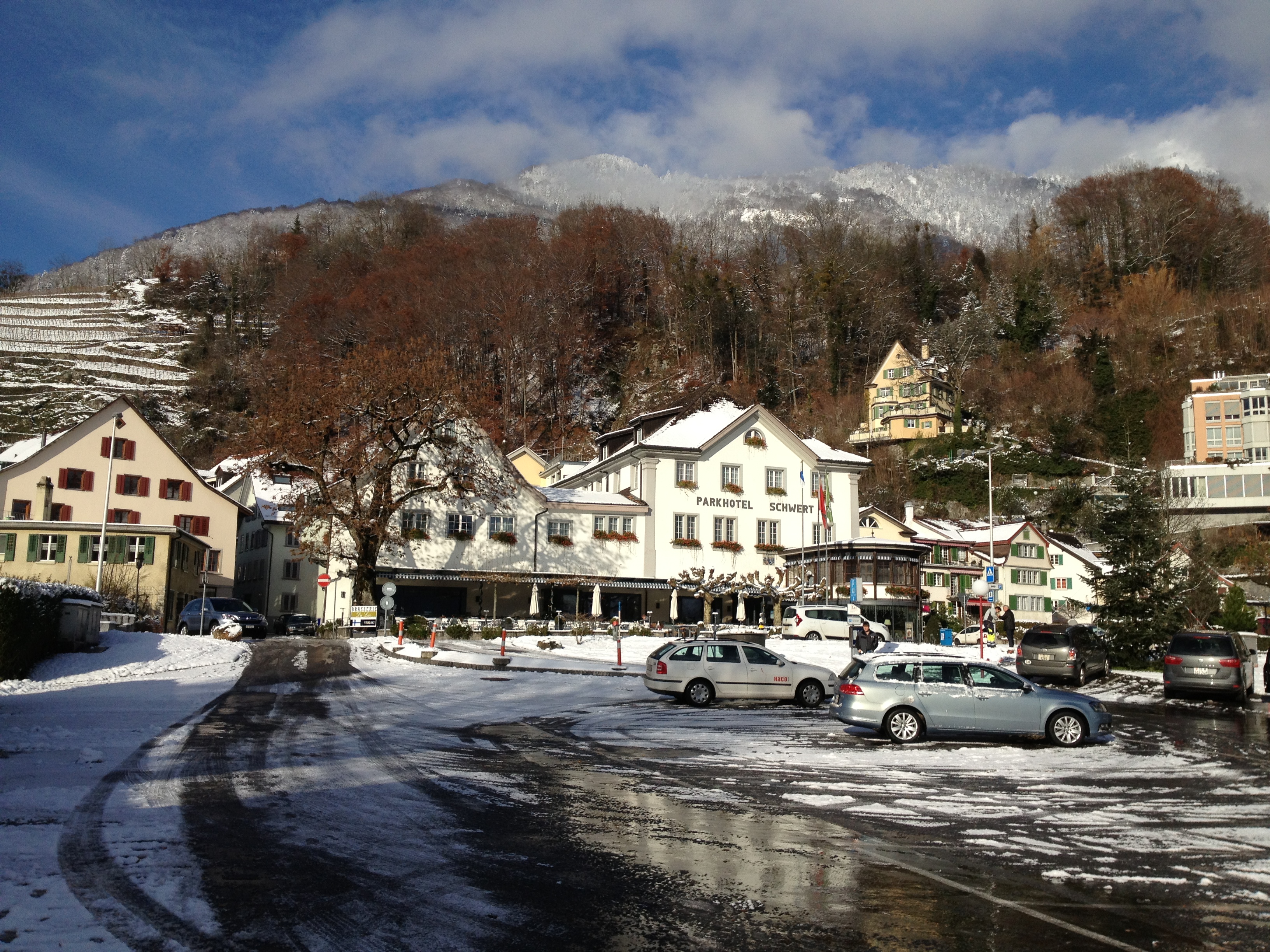 Parkhotel Schwert – image