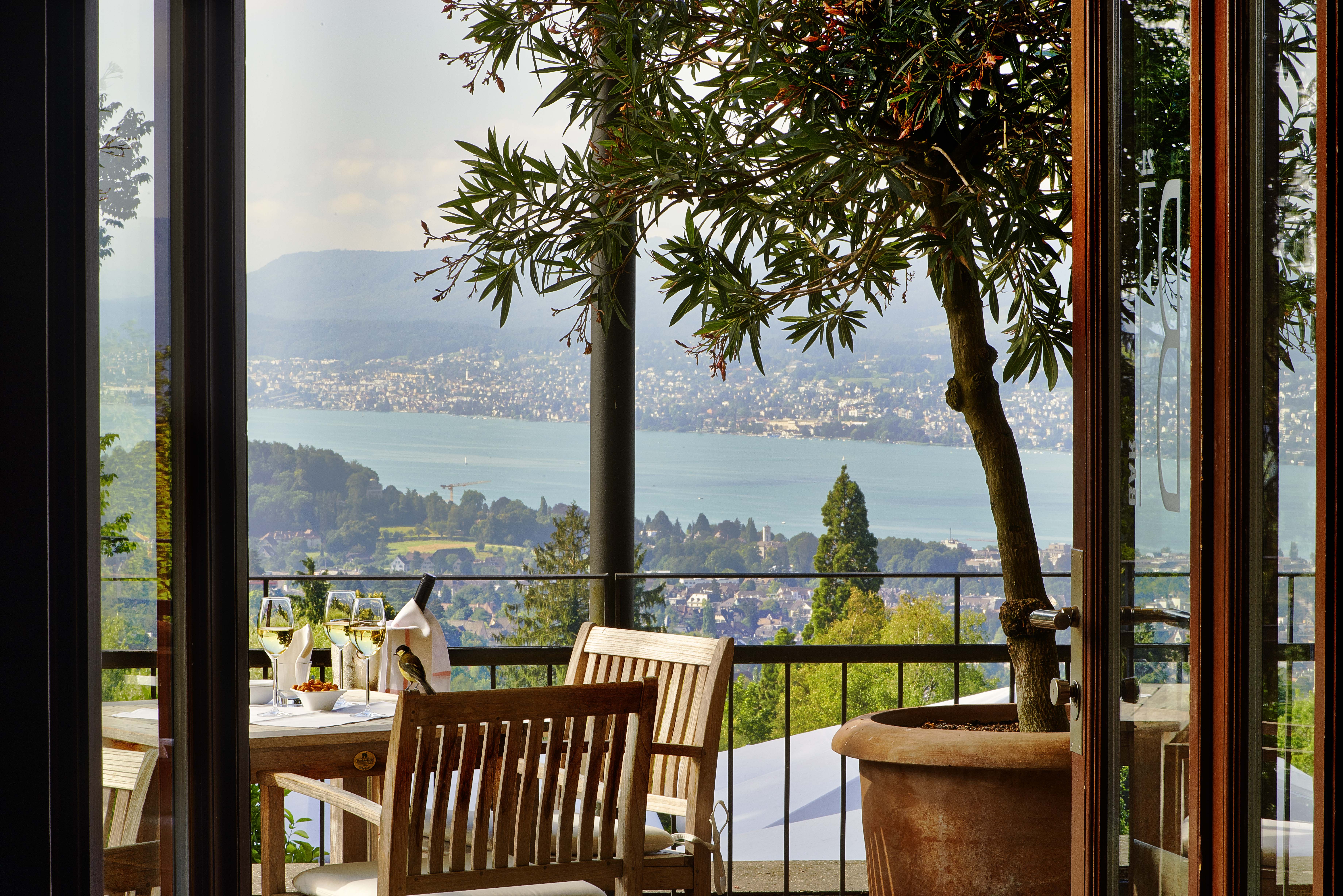 Sorell Hotel Zürichberg – Bild