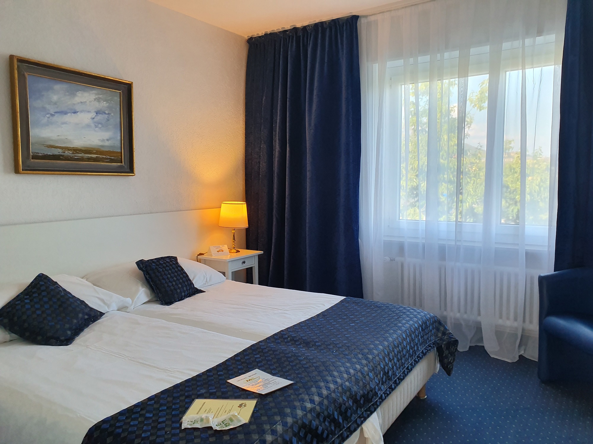 Hôtel Touring au Lac – immagine