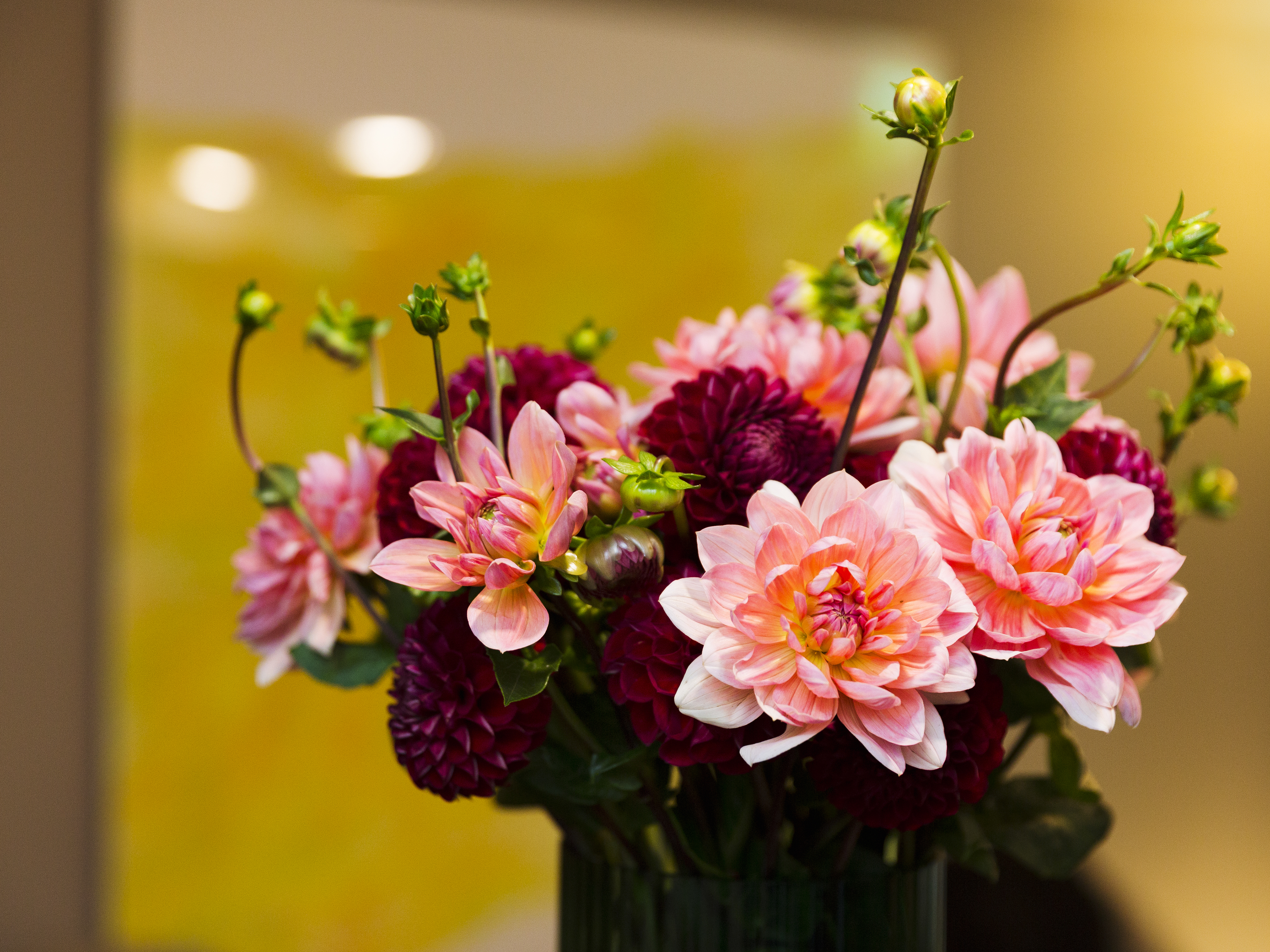 Hotel Helmhaus – Bild