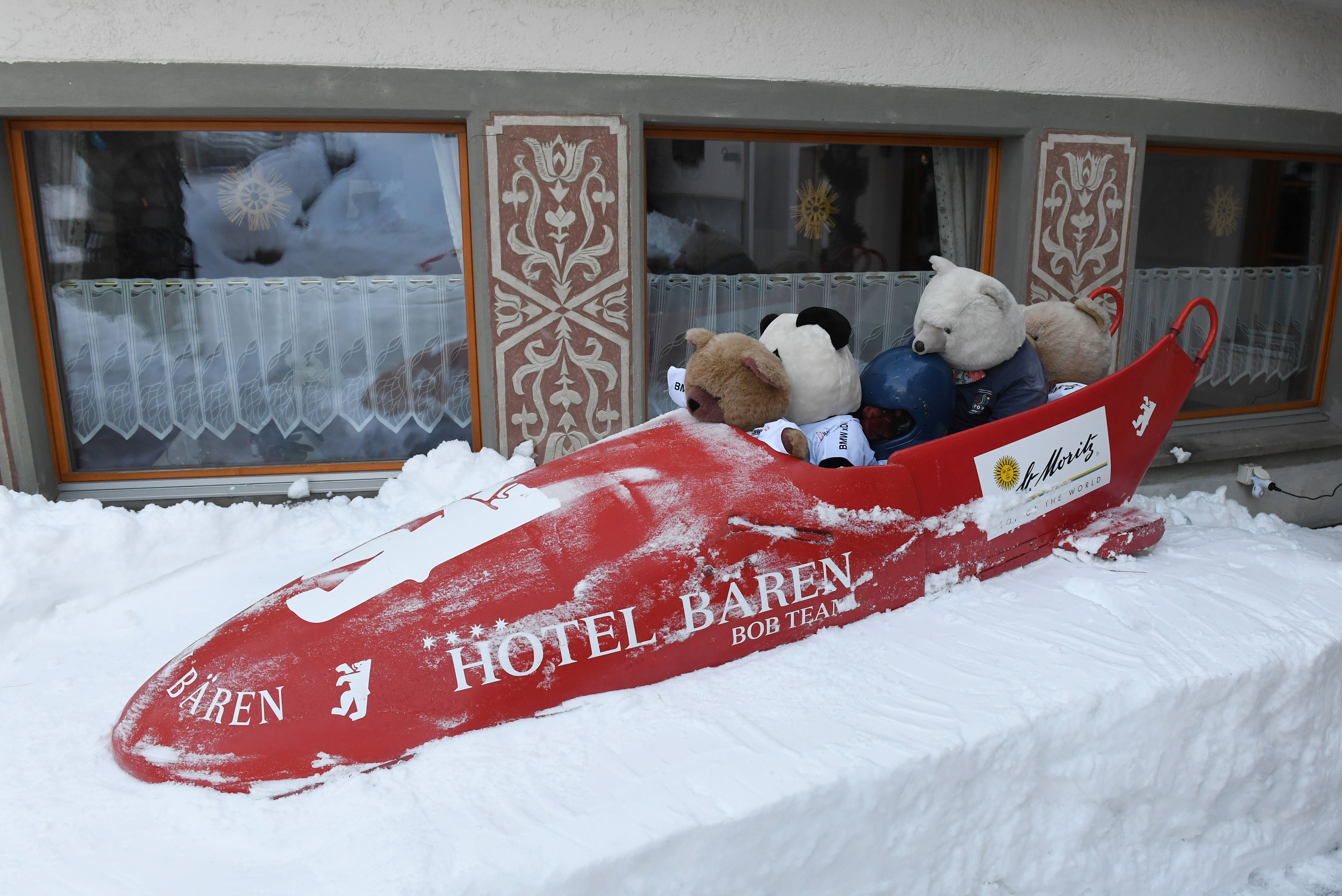 Bob & Bären Bob & Bären