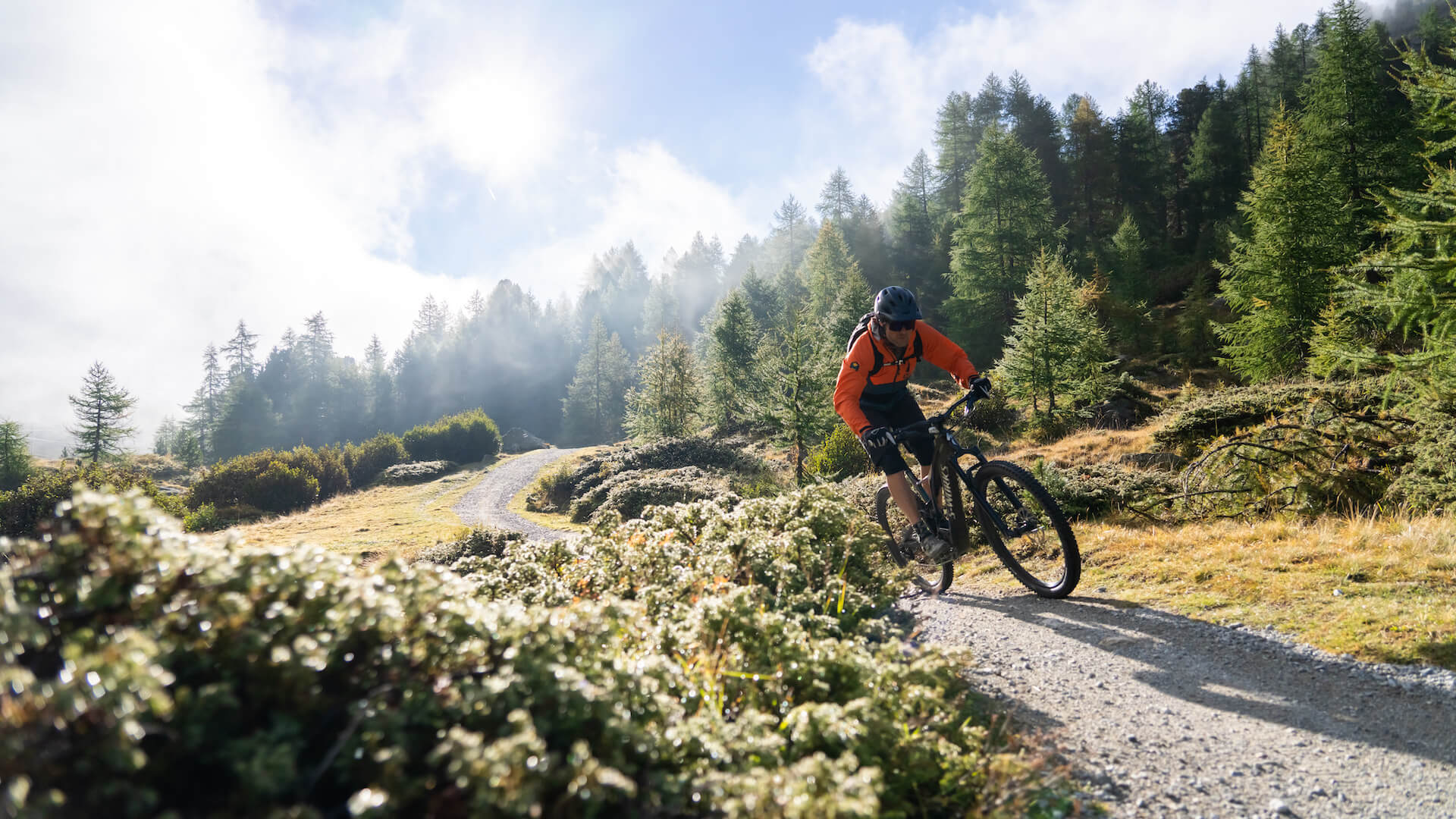 Biken im Engadin Biken im Engadin