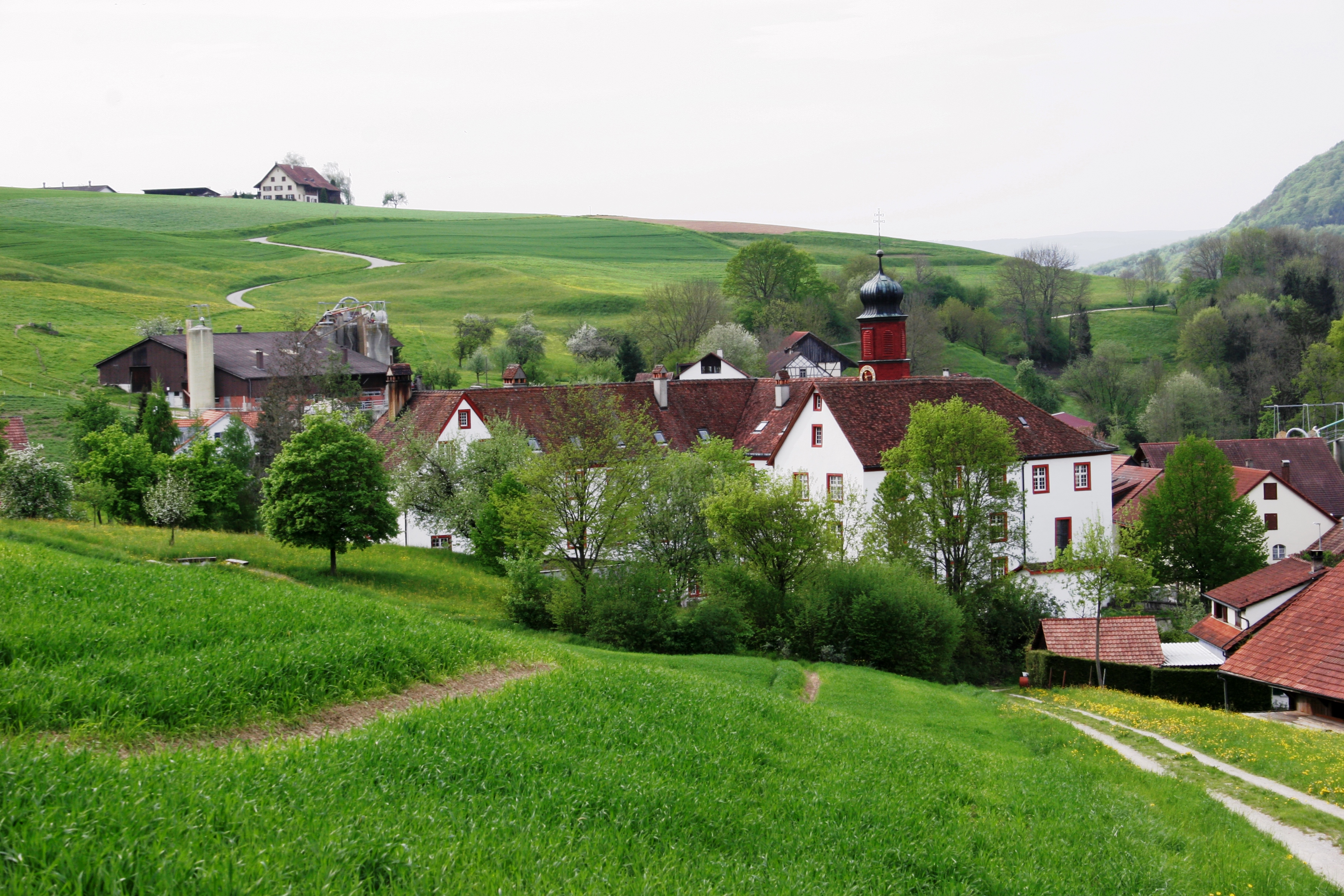 Propstei Wislikofen – image