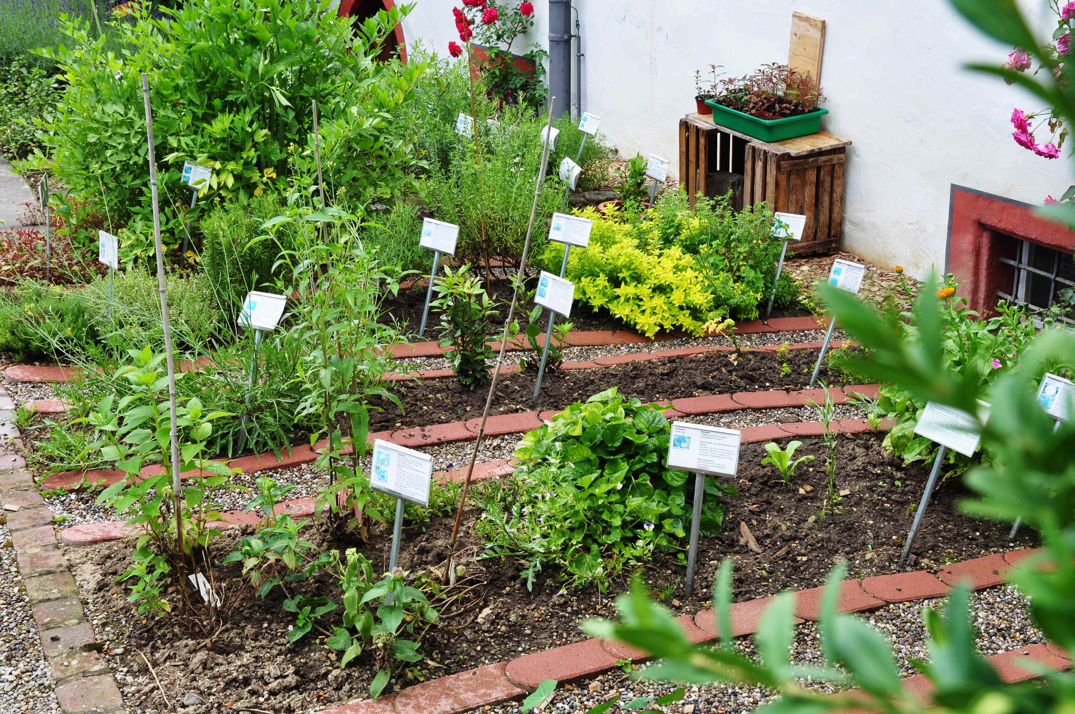 Herb garden Herb garden