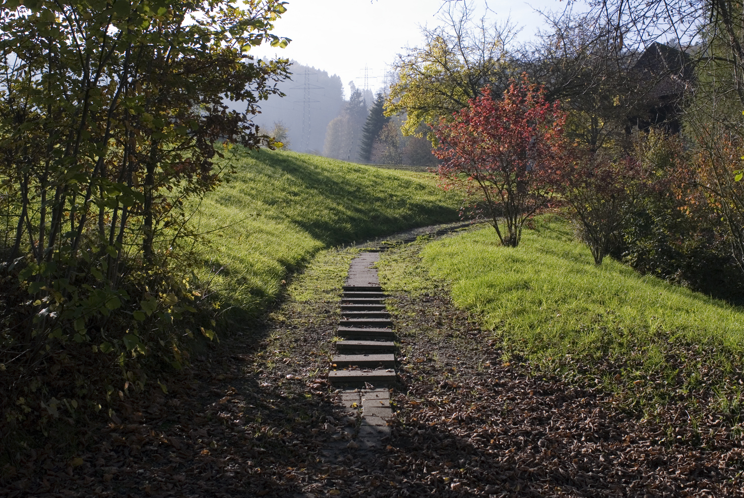 Walking path from the house Walking path from the house