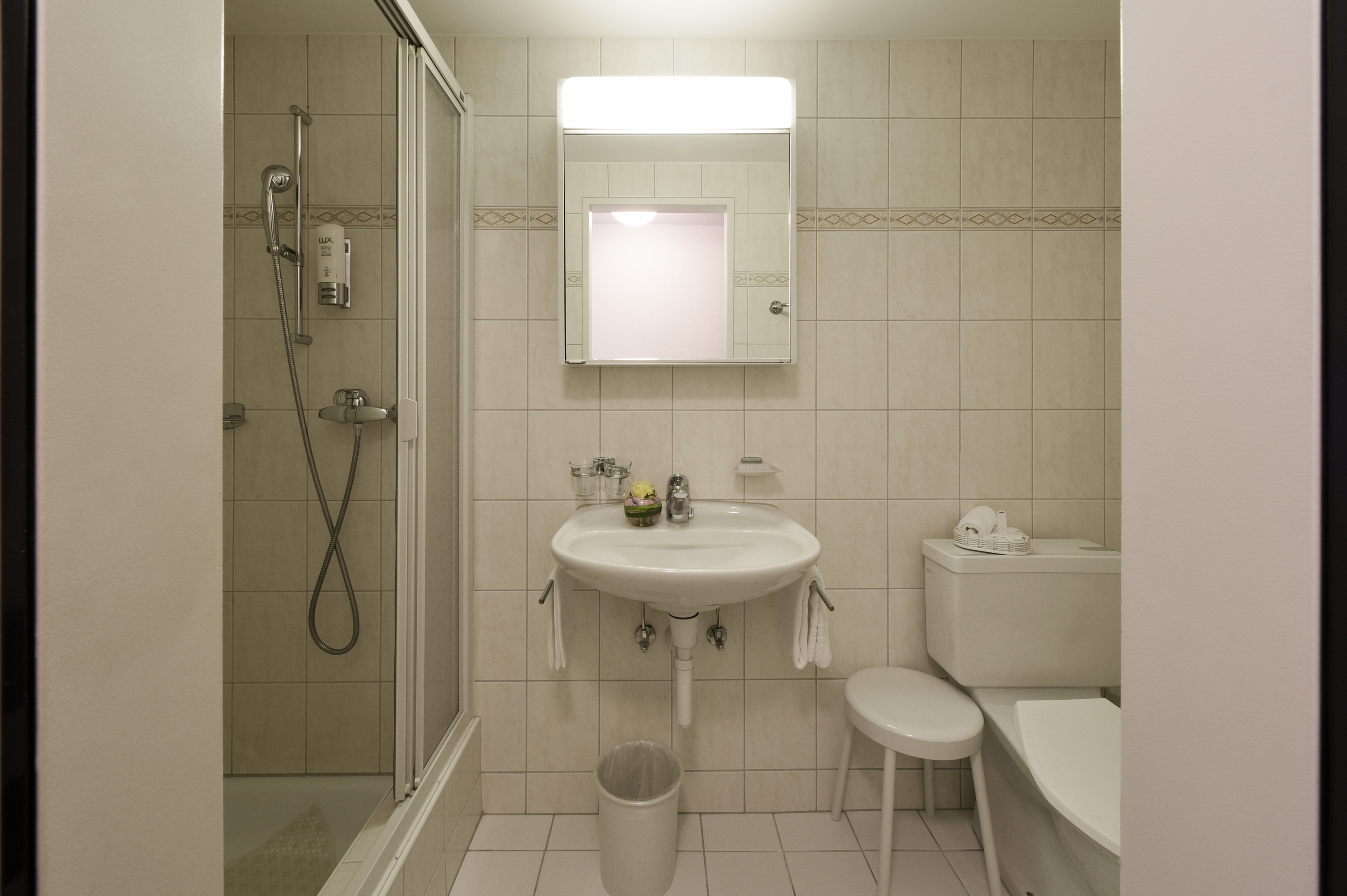 Hotel Steinbock – Bild