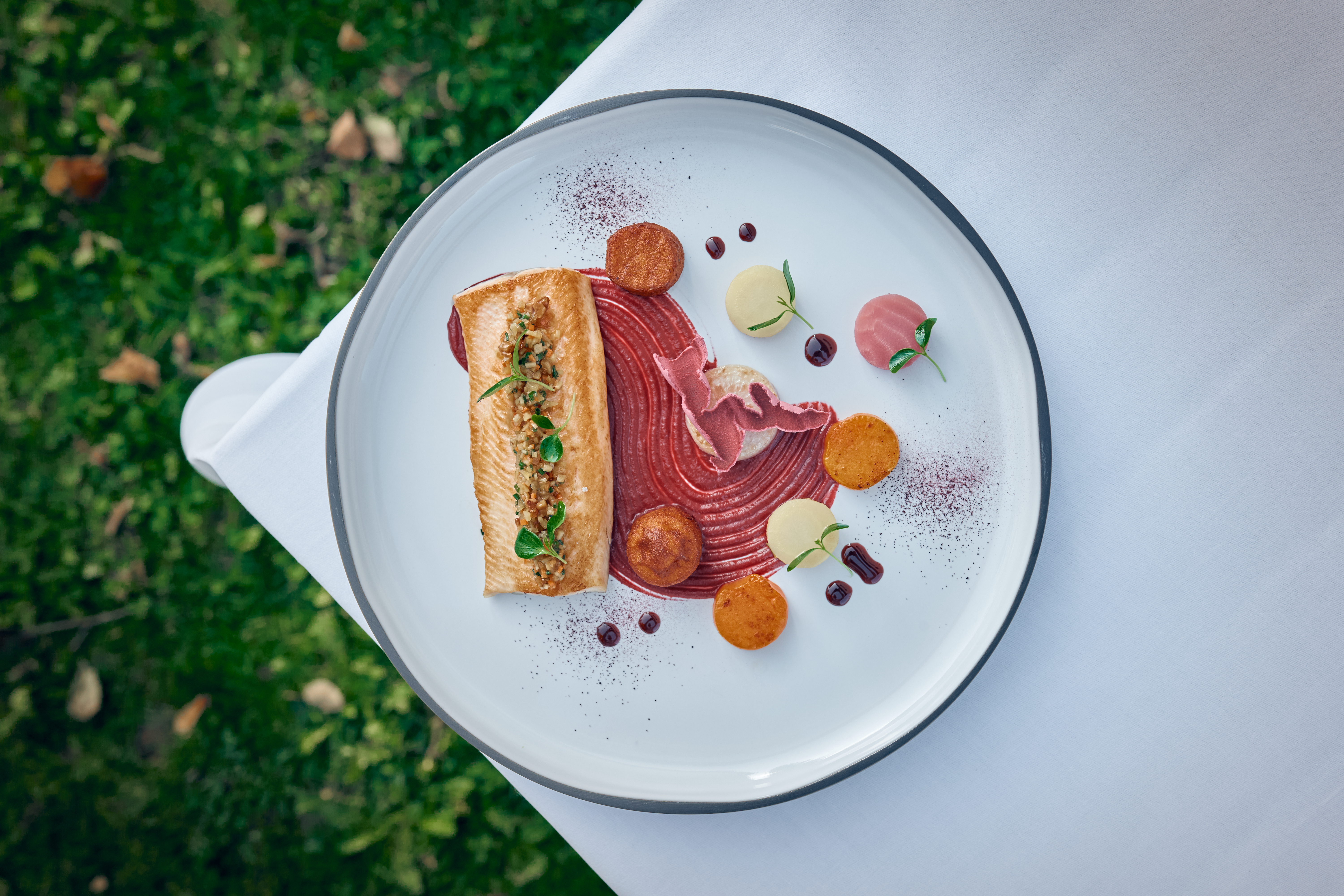 Omble chevalier de l Omble chevalier de l