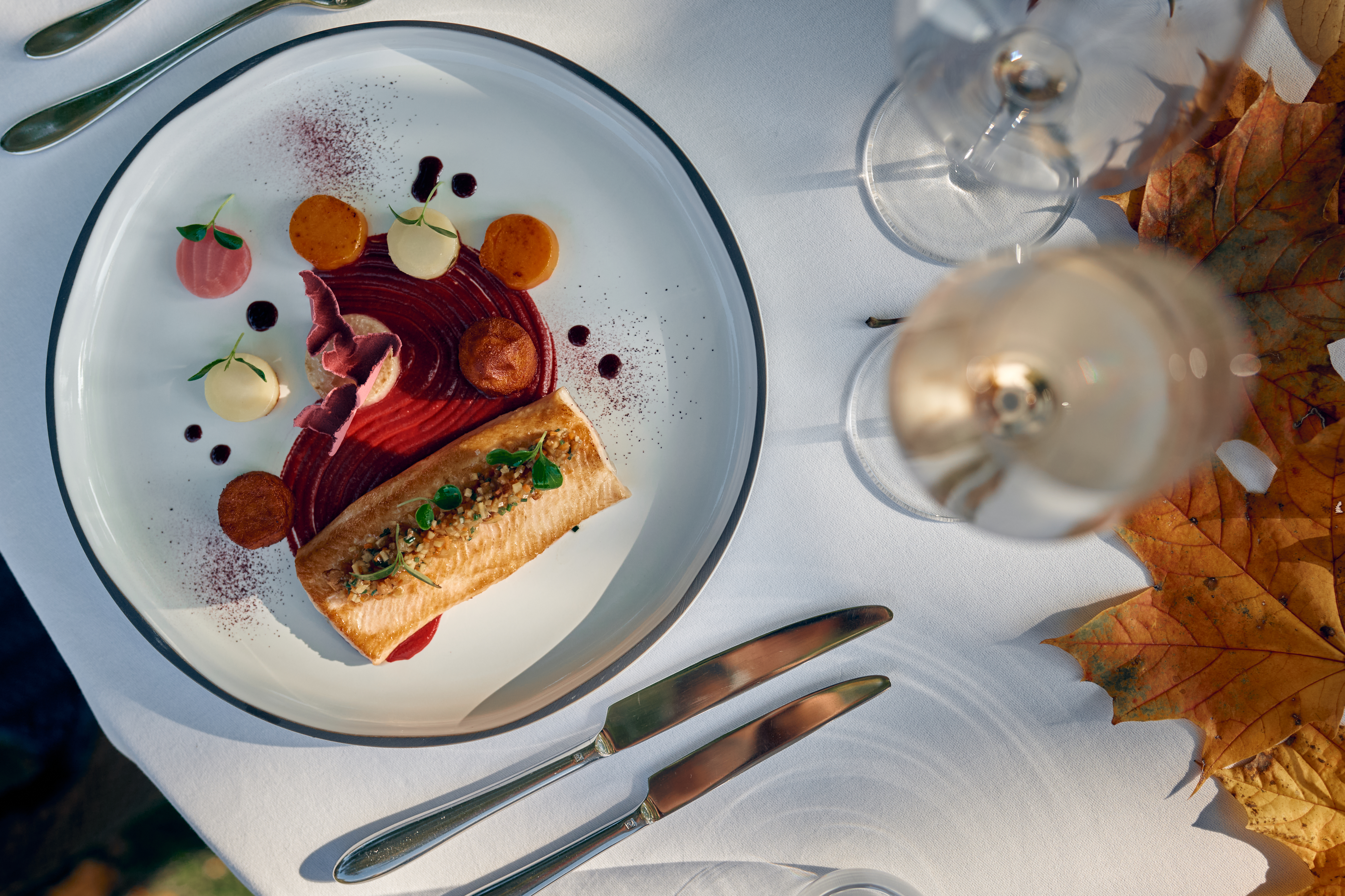 Château Salavaux – Bild