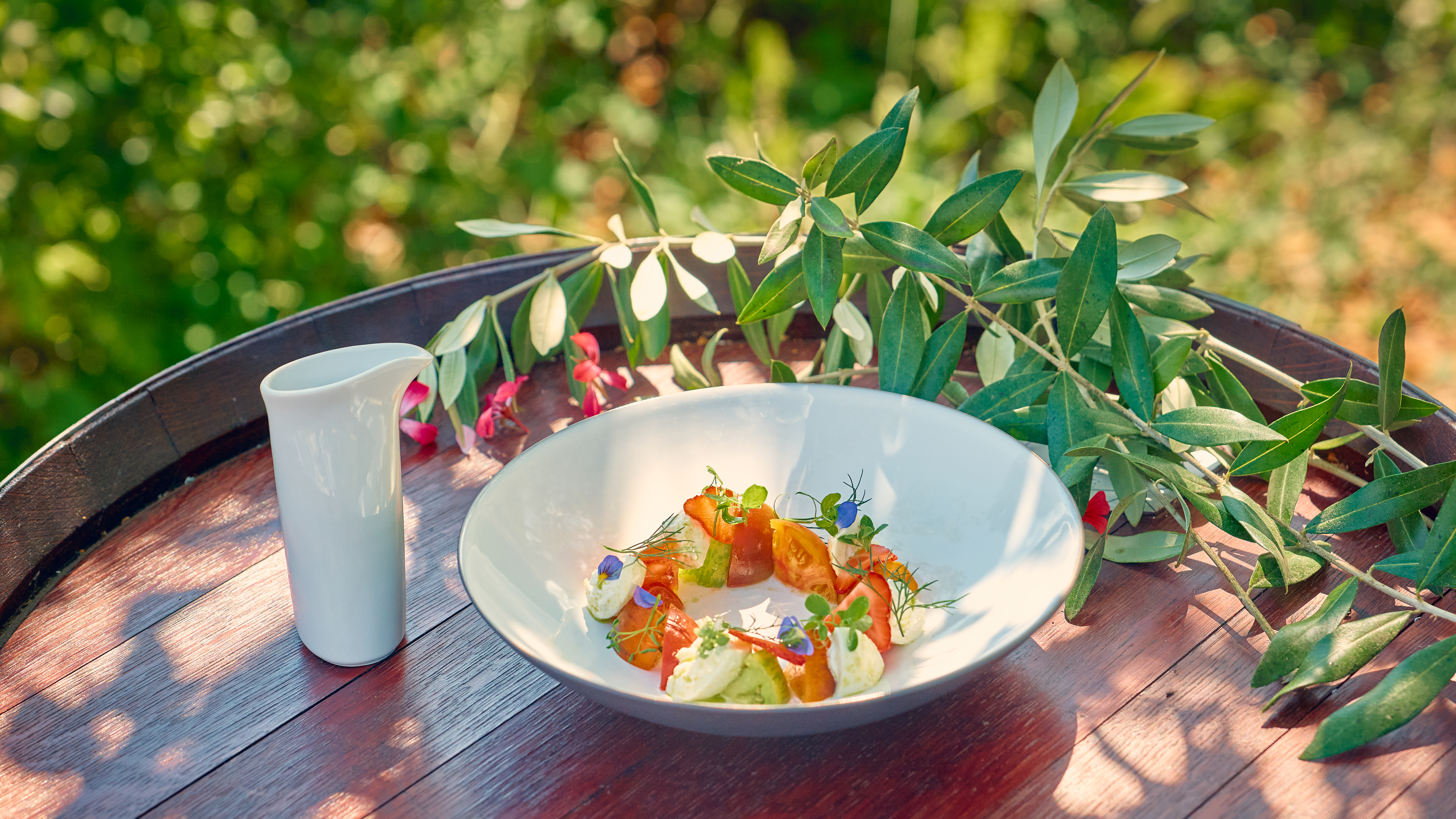 Château Salavaux – Bild