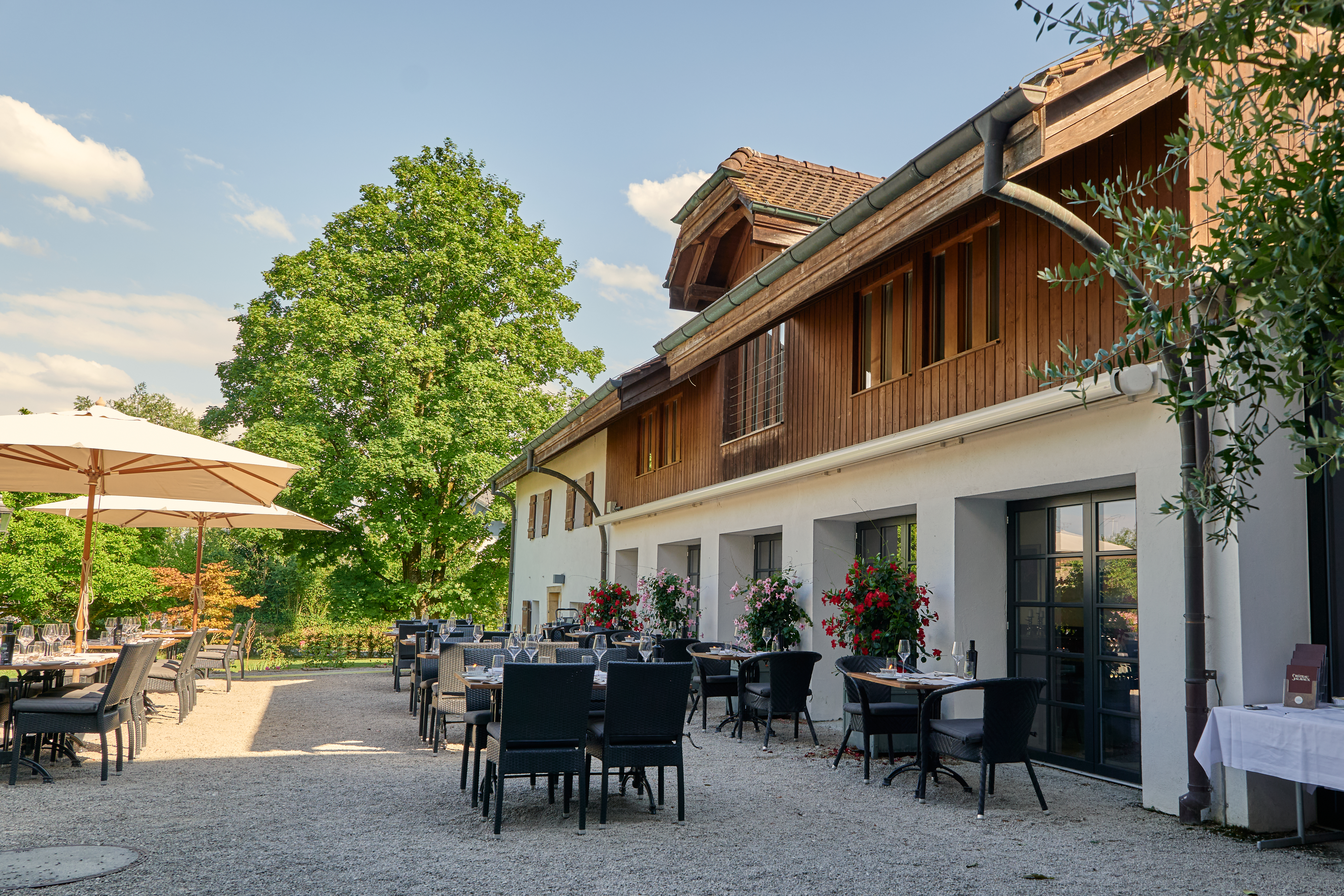 Château Salavaux – Bild