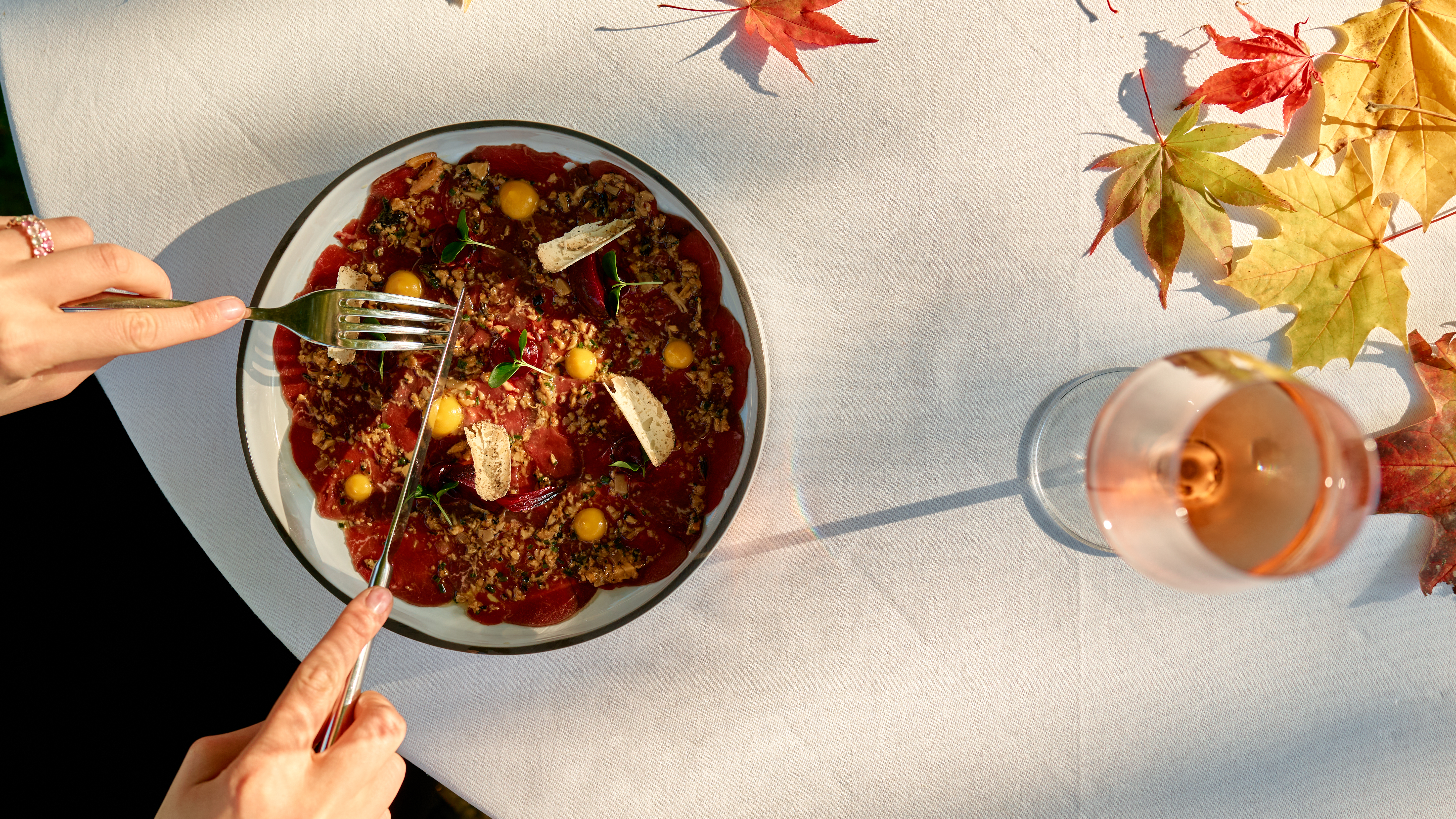 Château Salavaux – Bild