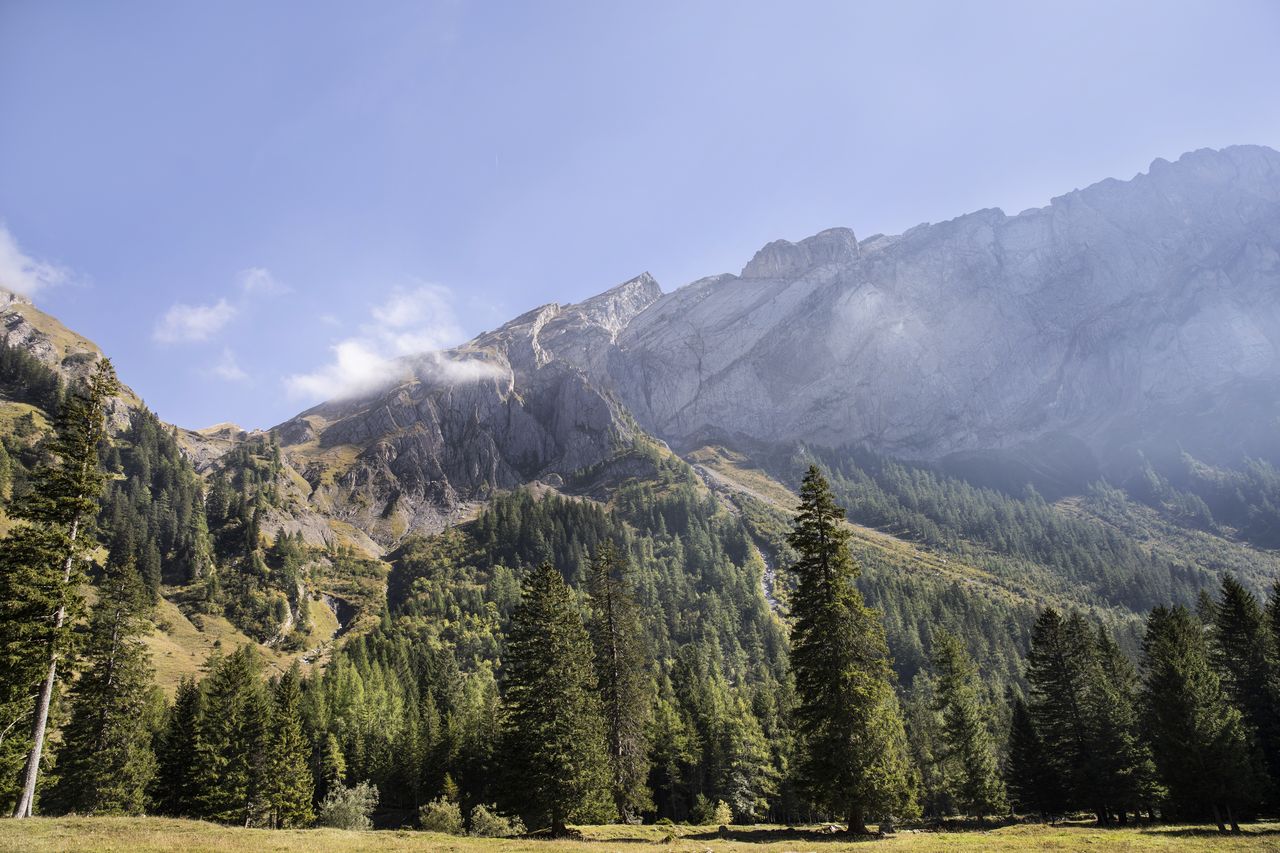 Miroir d'argentine Miroir d'argentine