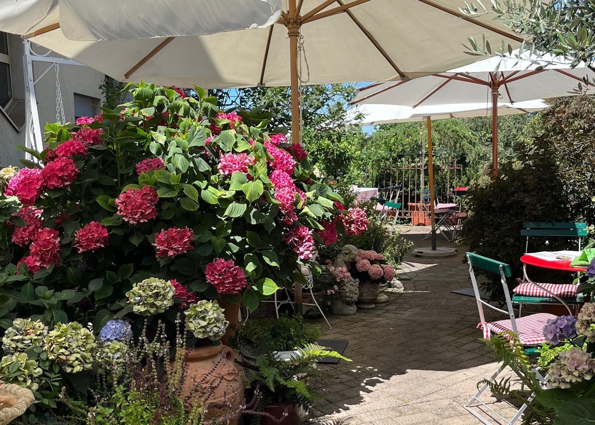 Terrazza giardino 1 ° piano. Terrazza giardino 1 ° piano.