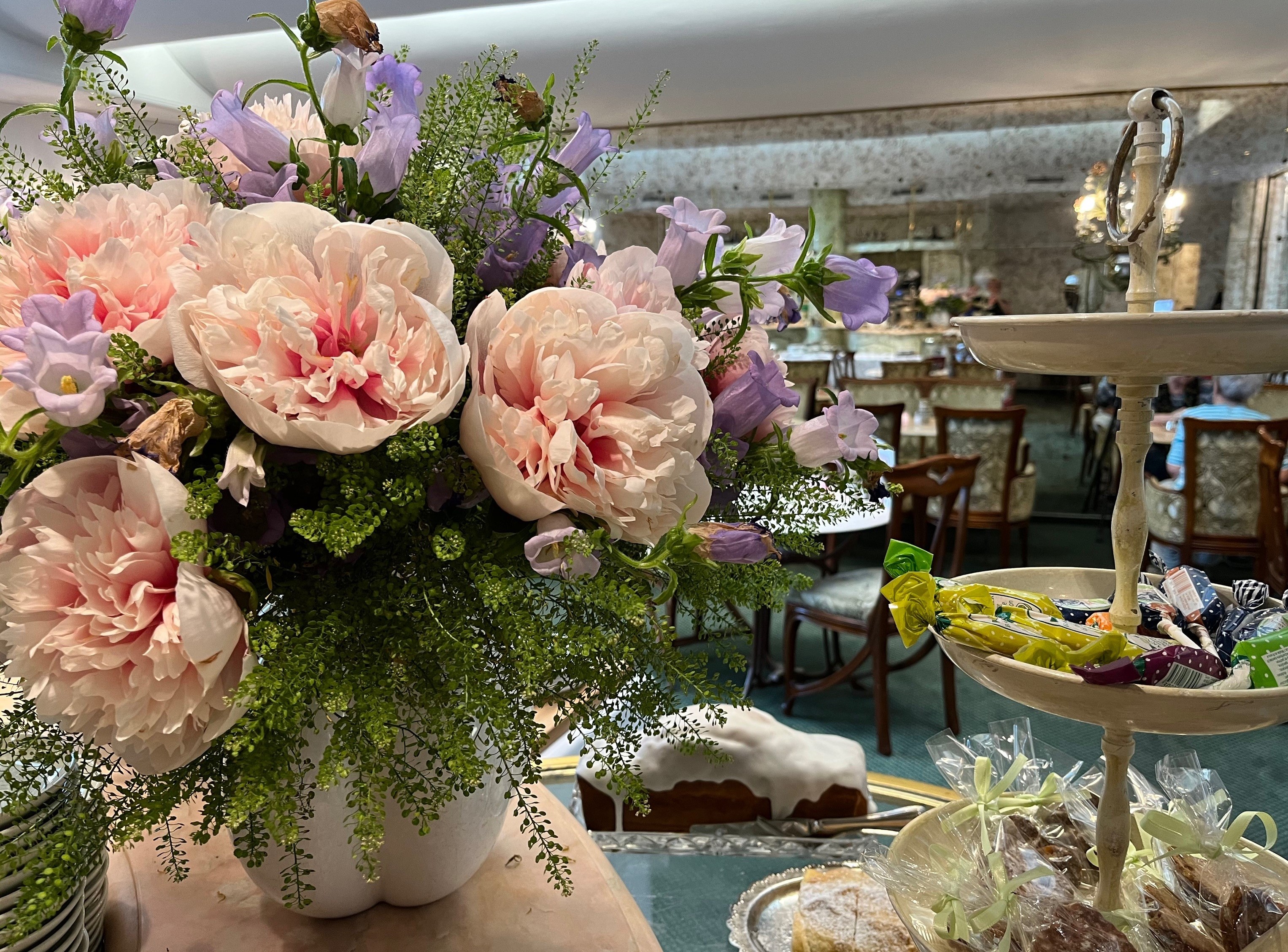 Café Mozart Café Mozart