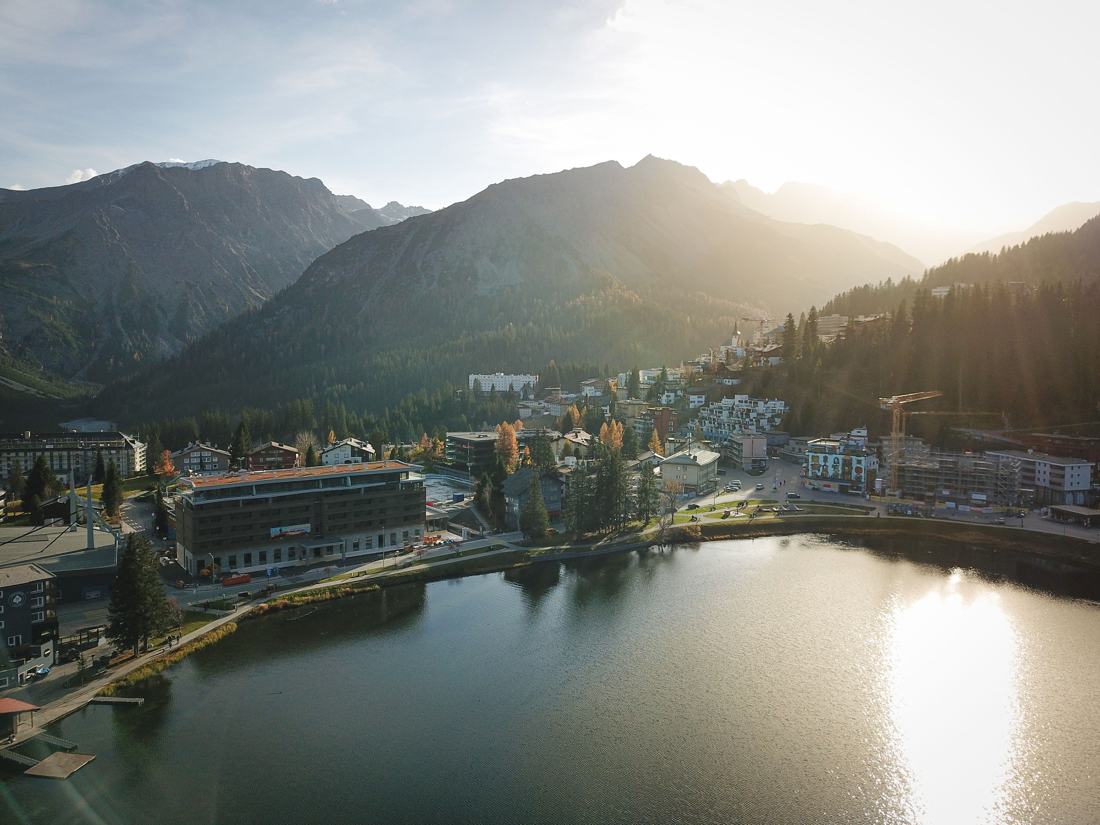 AVES Summer AVES Summer