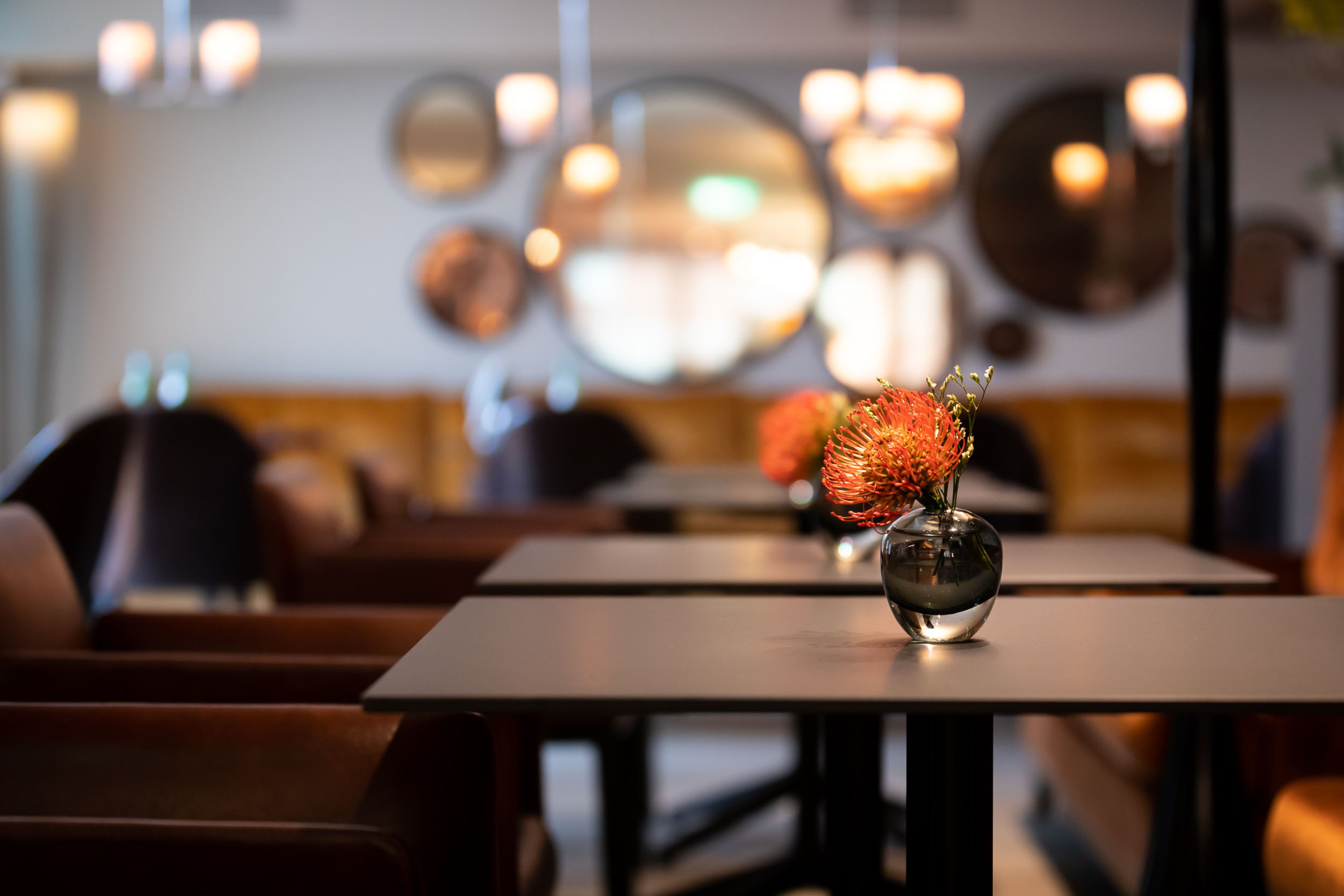 Design Hotel F6 – Bild