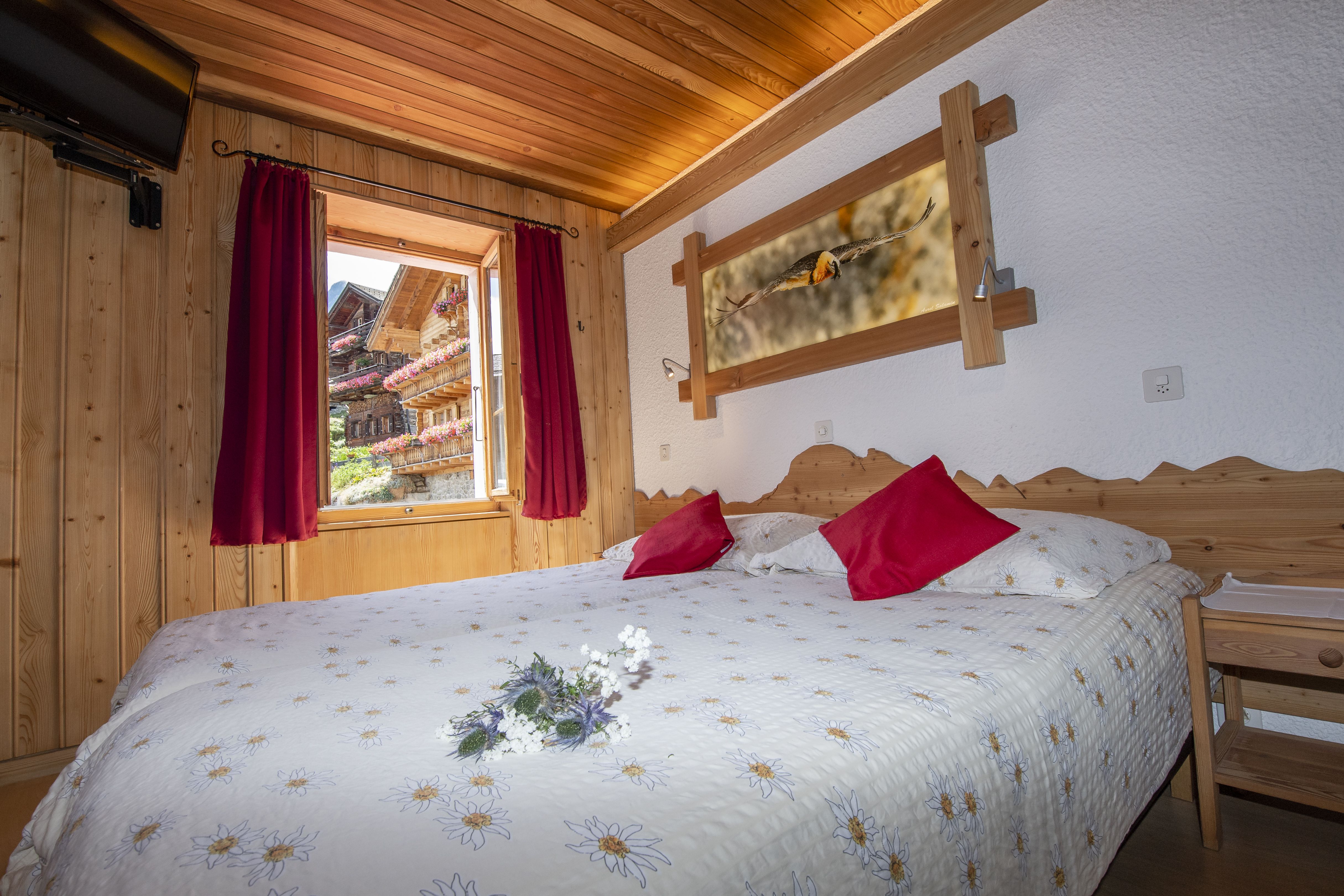 Hôtel de Moiry – immagine