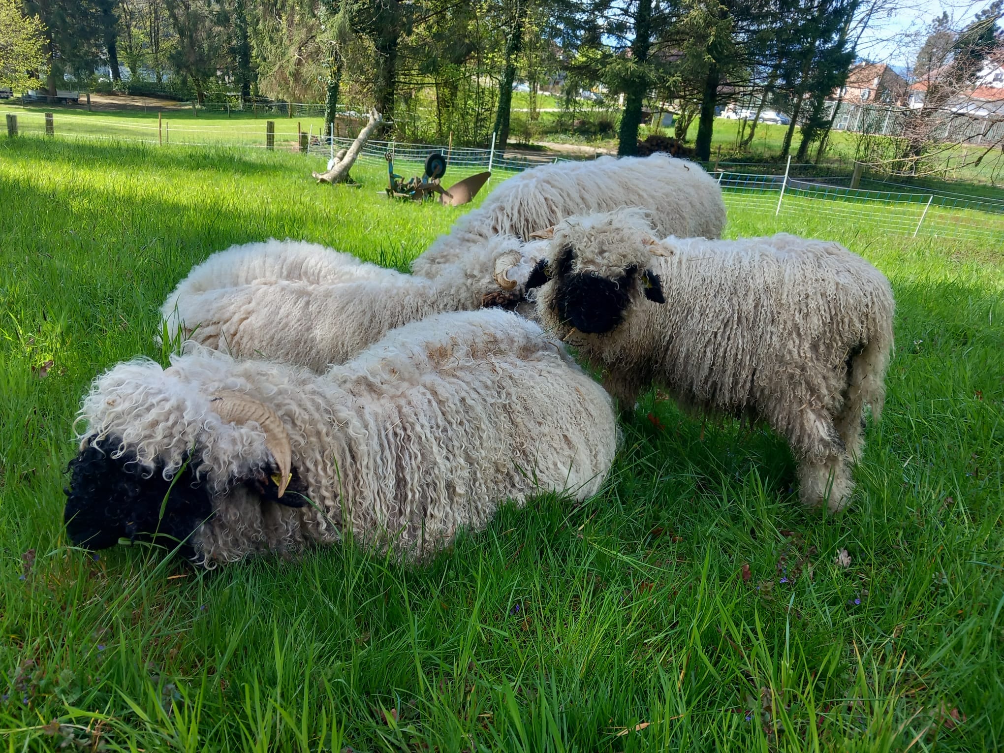 Domaine Notre-Dame de la Route – image