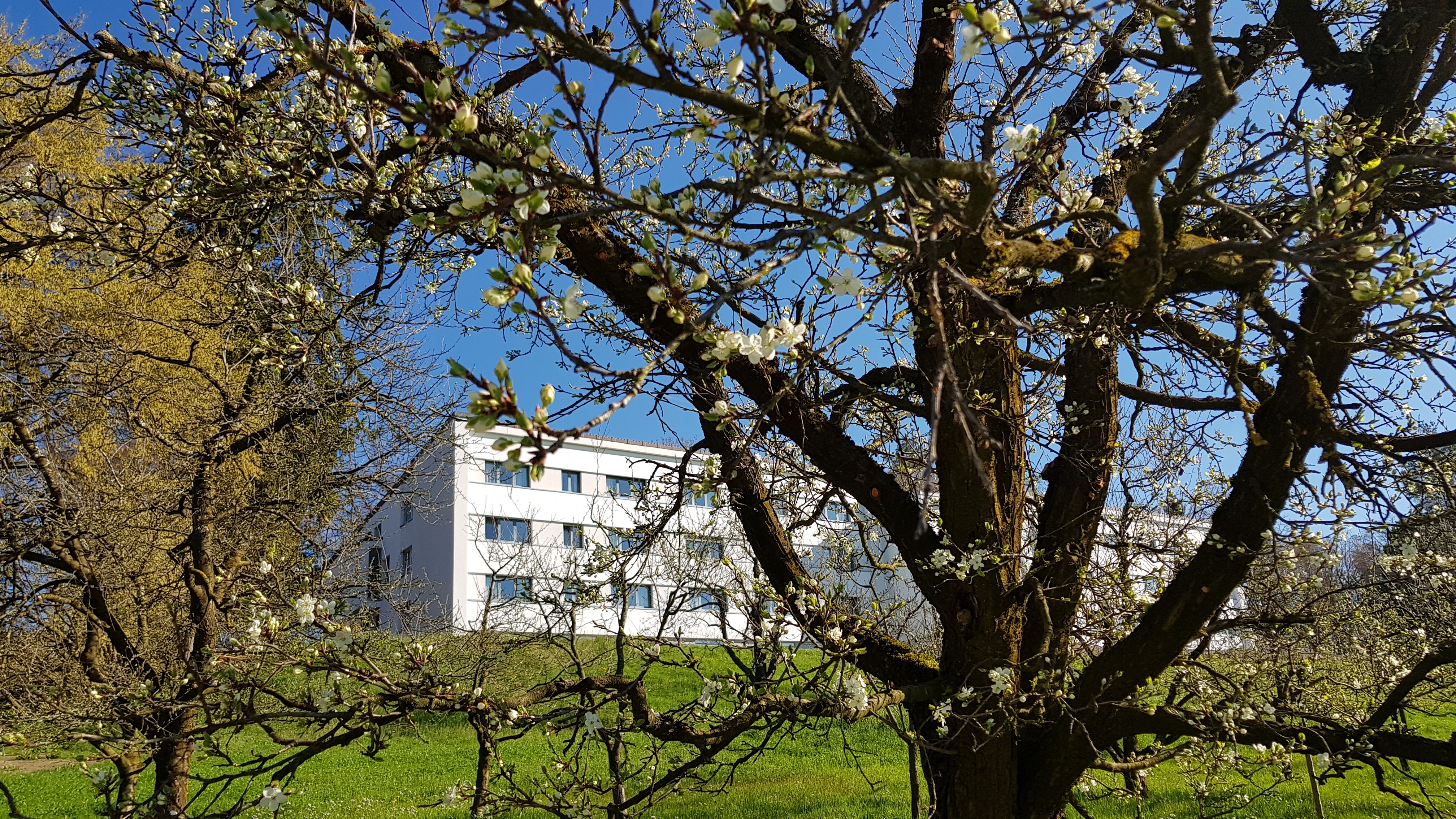 Domaine Notre-Dame de la Route – image